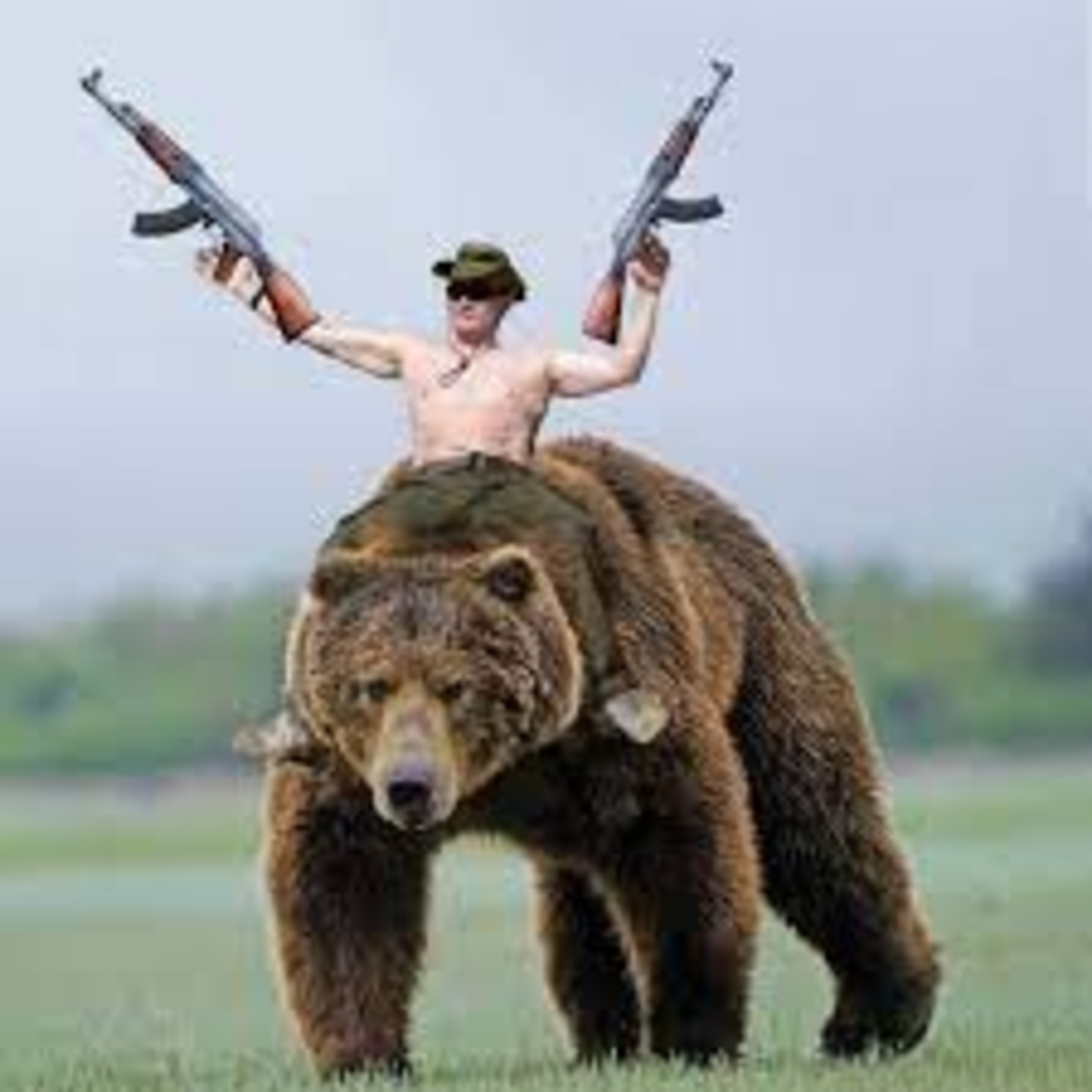 The American Eagle Above the Putin Bear episode artwork