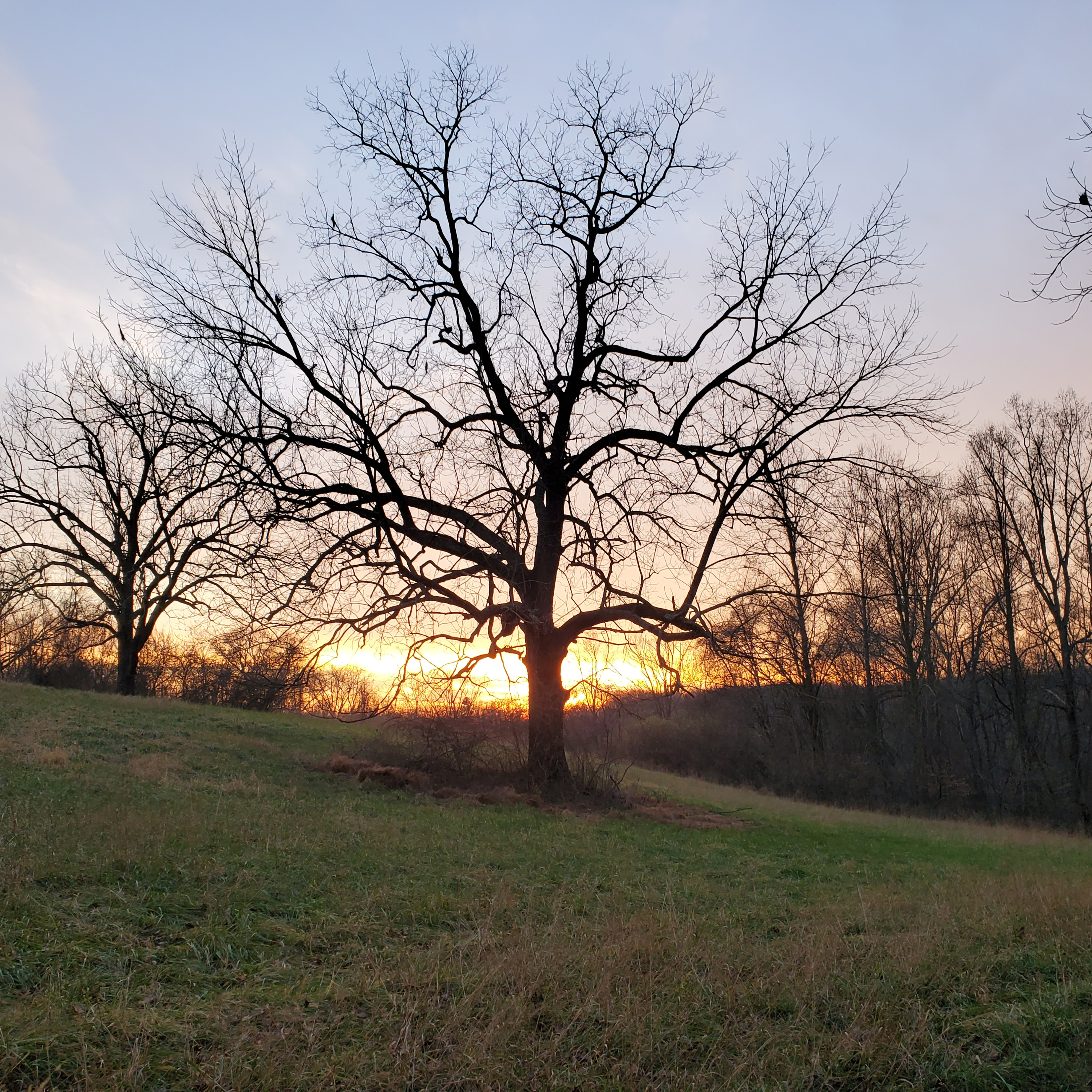 Grandpa's Tears episode artwork
