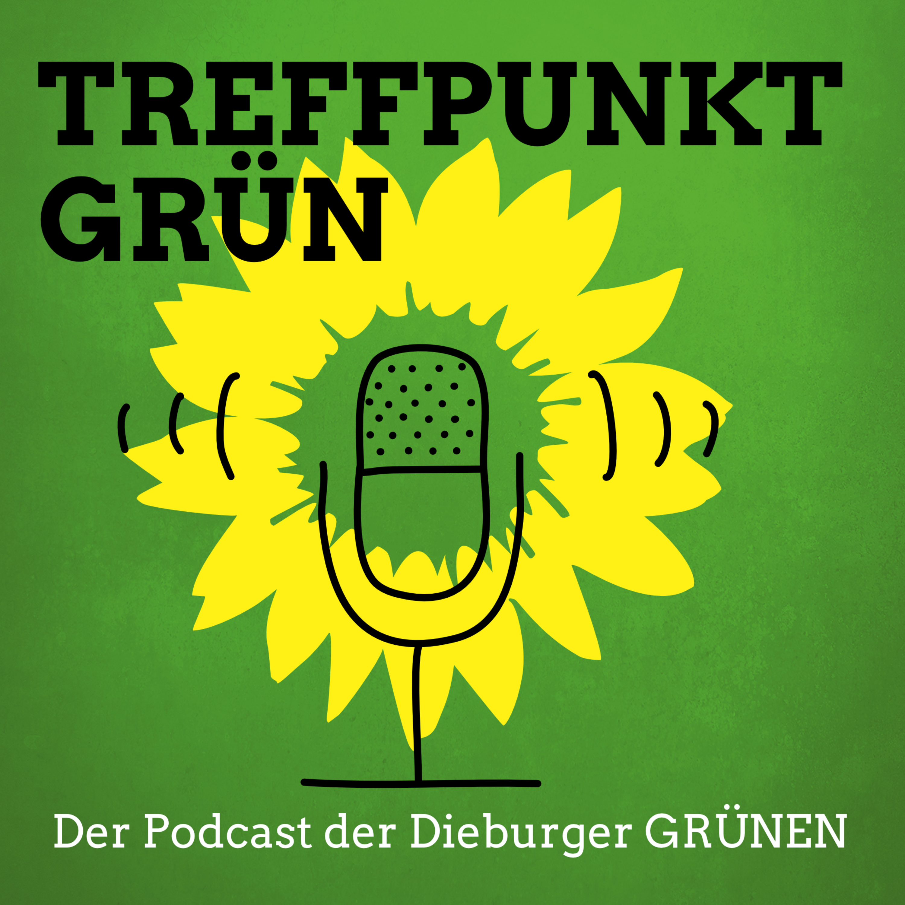 Treffpunkt GRÜN berichtet zum Waldzustand im Messeler Hügelland episode artwork
