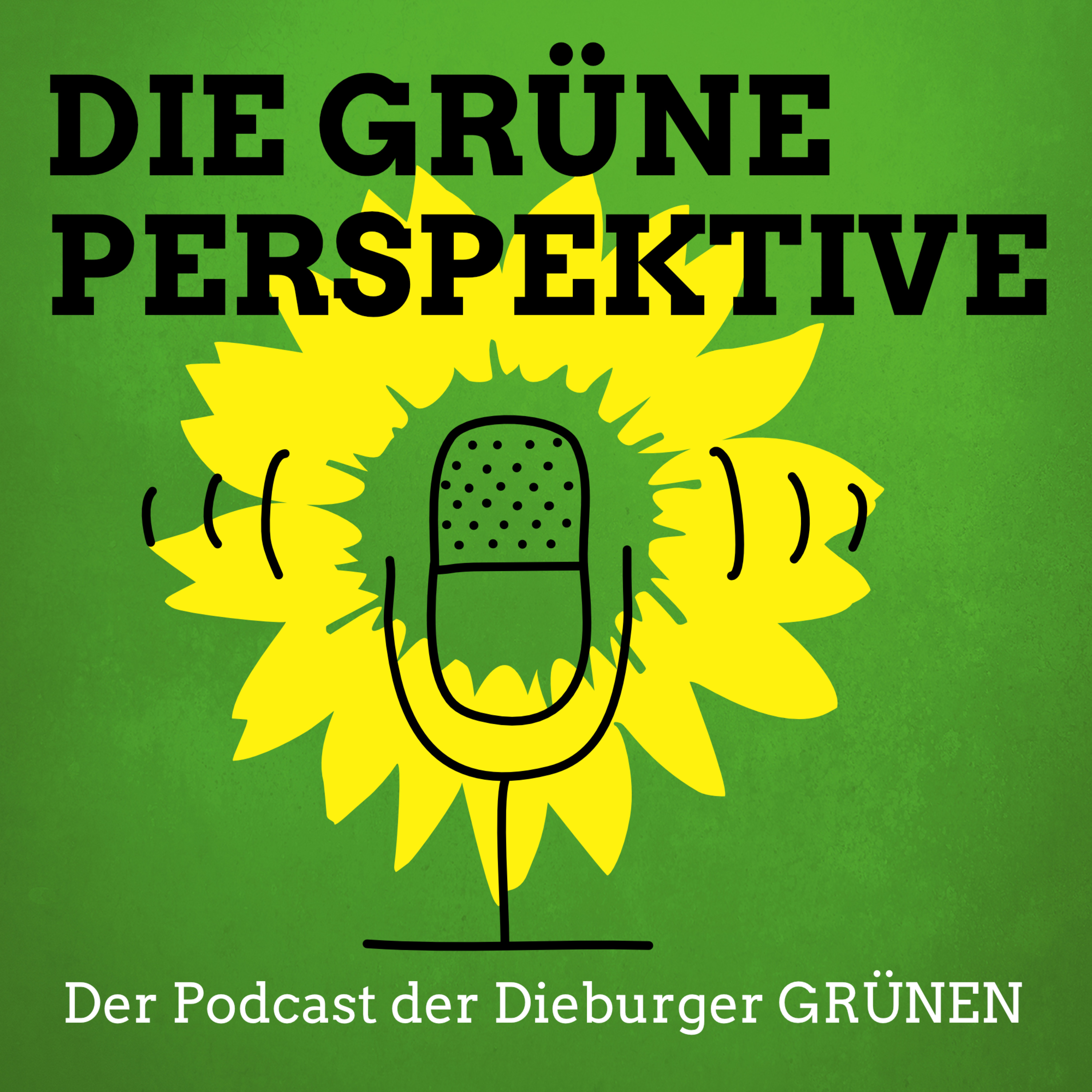 Mai 2021, Gerhild Krause zur Stadtverordnetenversammlung Dieburg nach der Kommunalwahl im März 2021 episode artwork