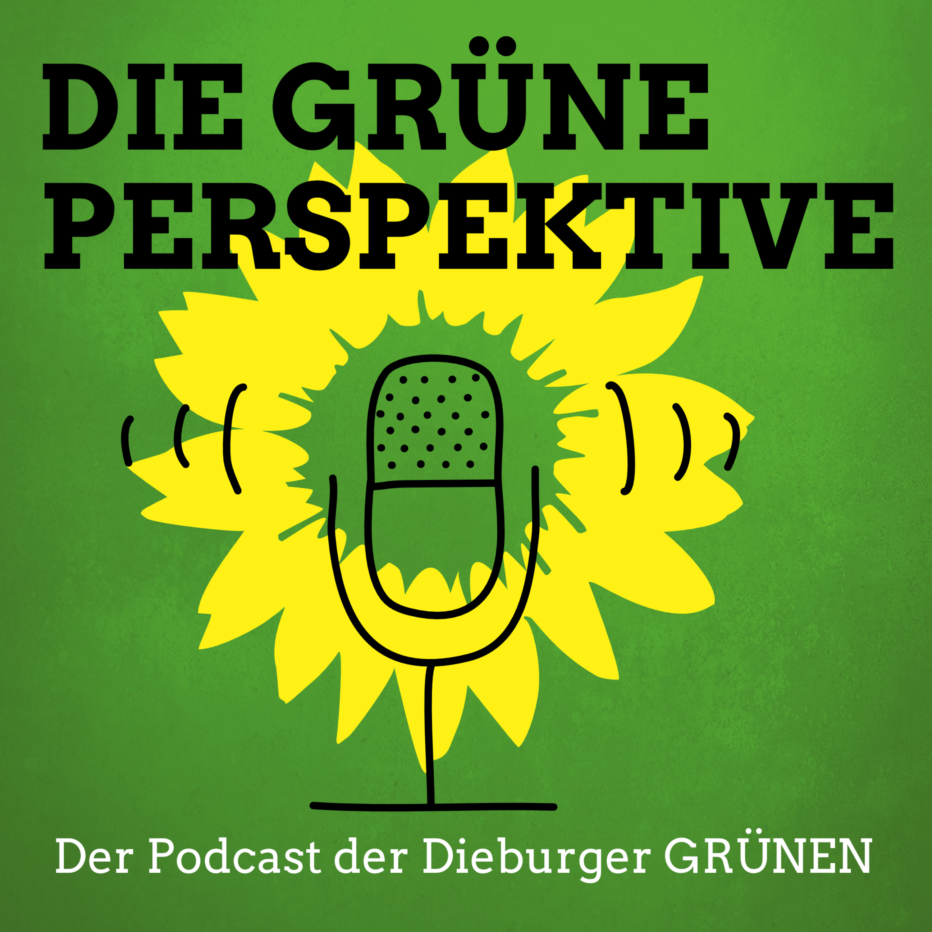 Juni 2022  Die GRÜNE Perspektive zur Dieburger Stadtverordnetenversammlung episode artwork