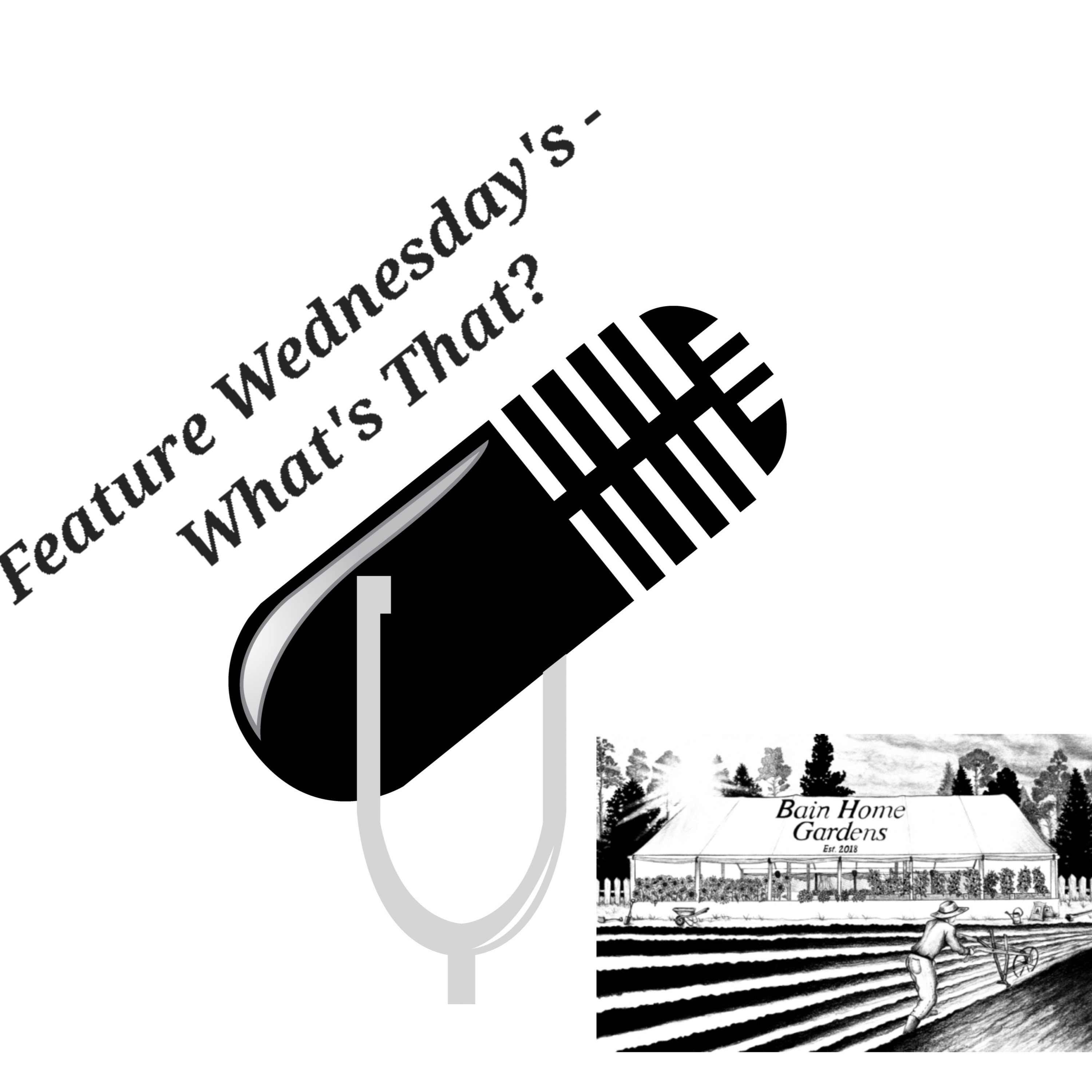 Feature Wednesday's - What's That?