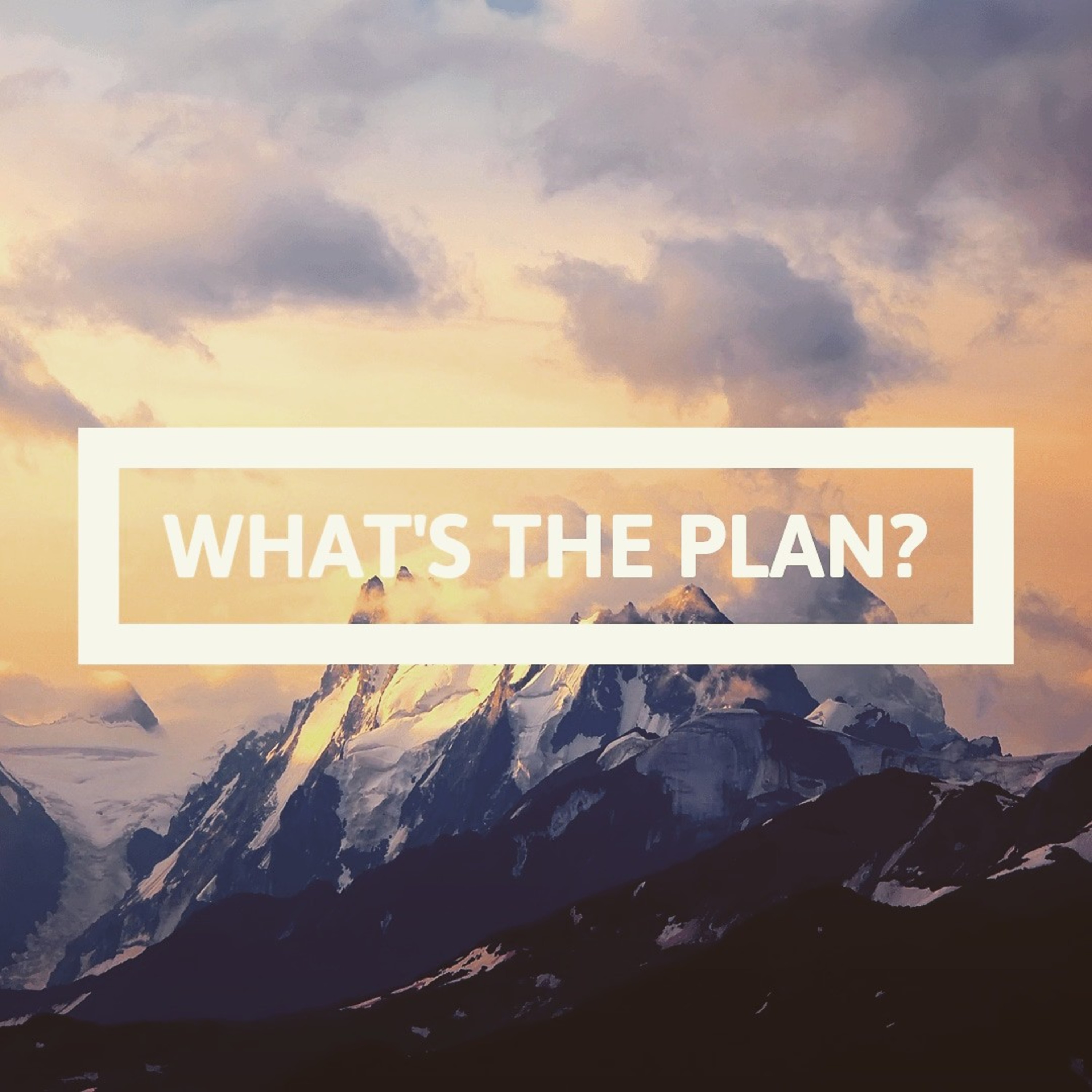 What's The Plan? episode artwork