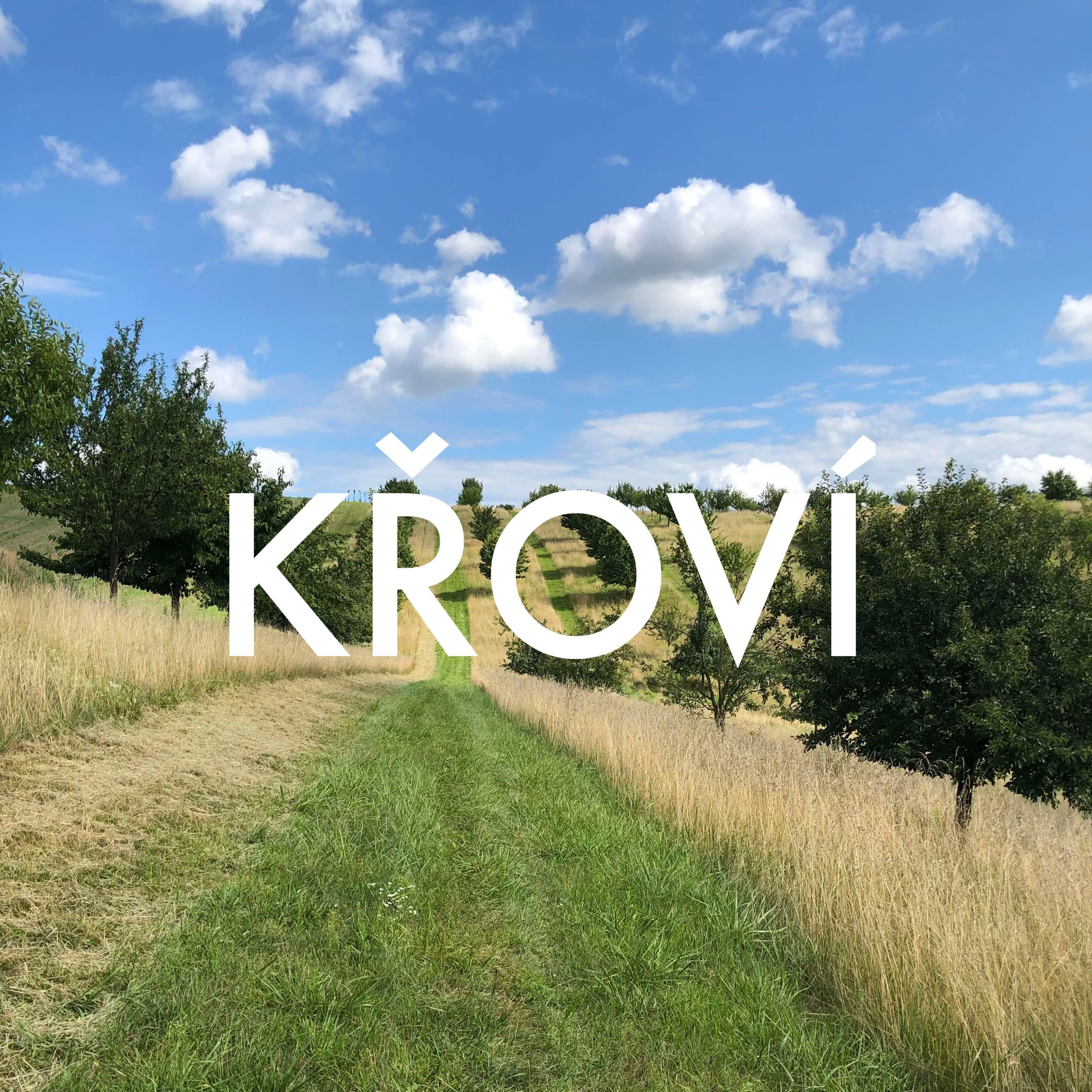 KŘOVÍ