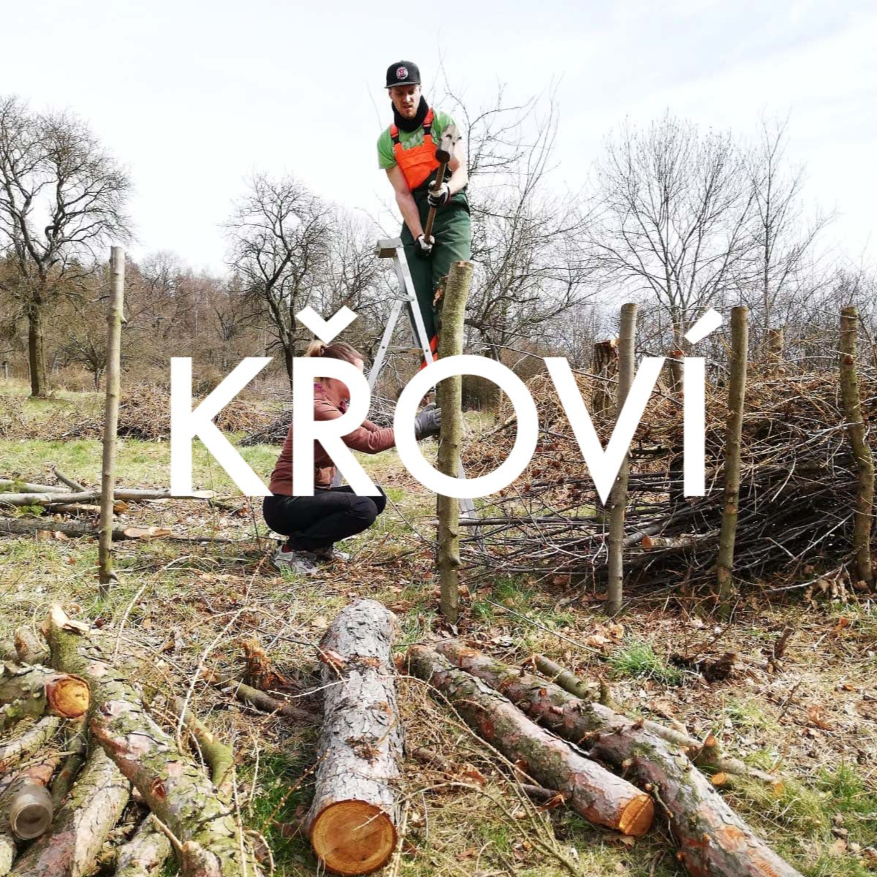 KŘOVÍ