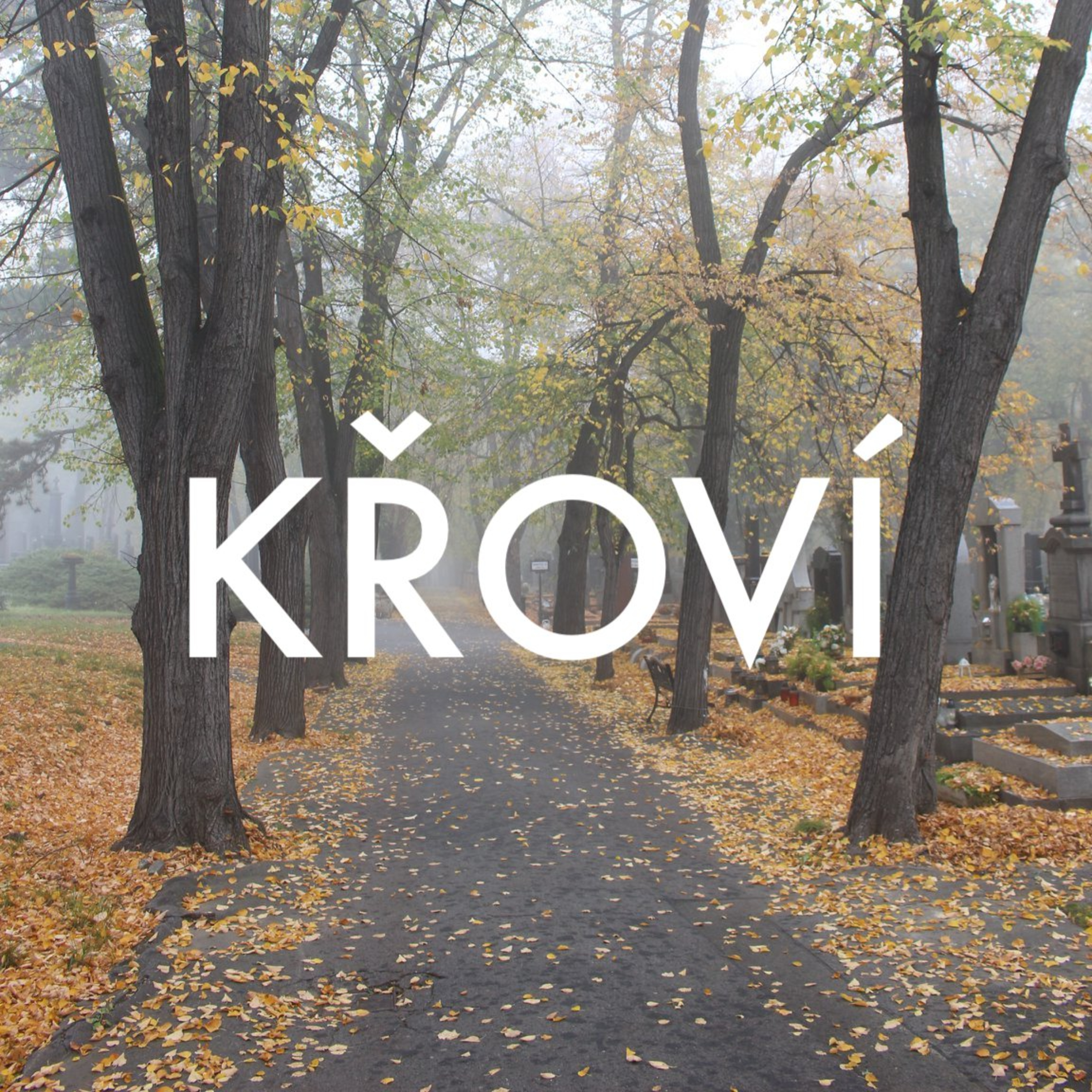 KŘOVÍ
