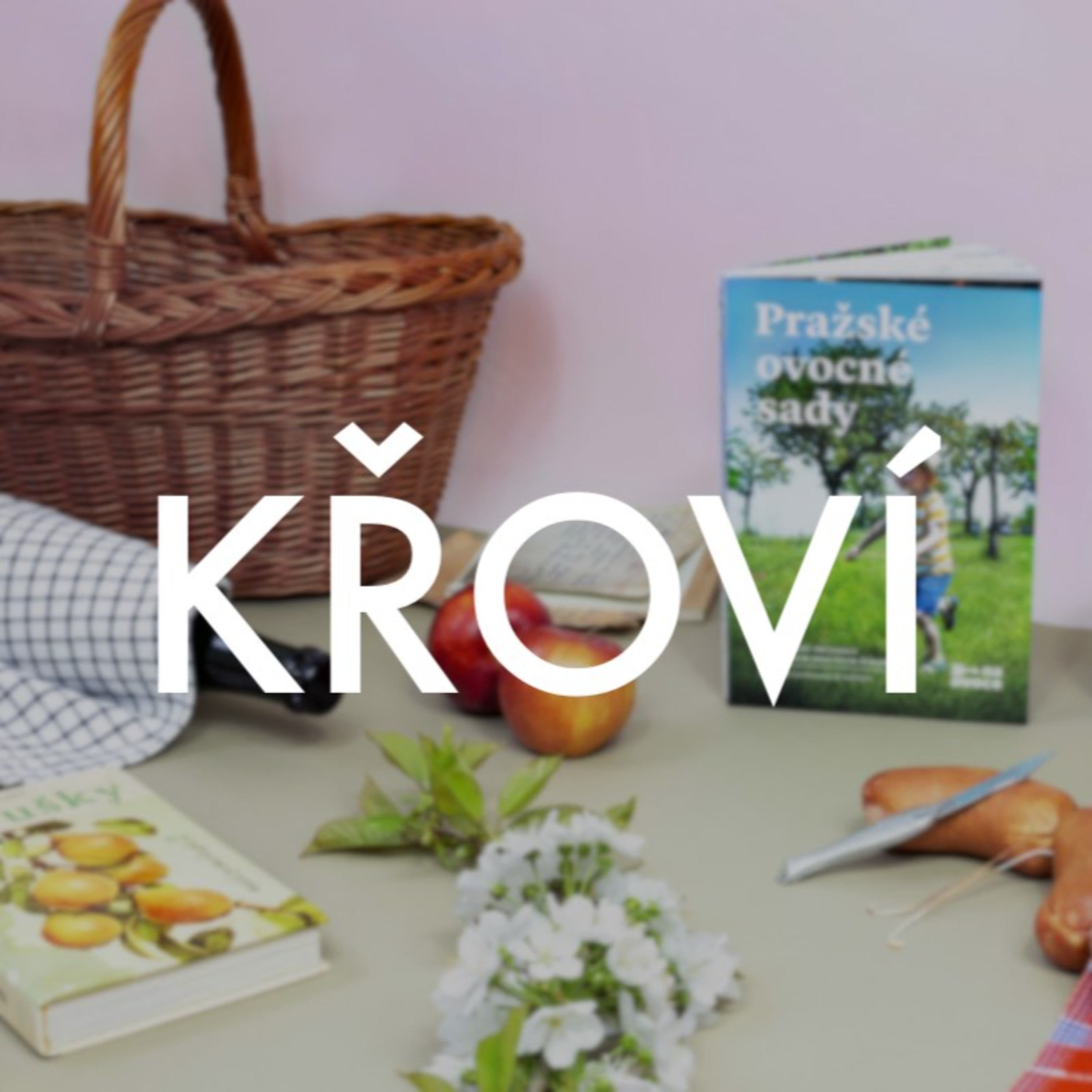 KŘOVÍ
