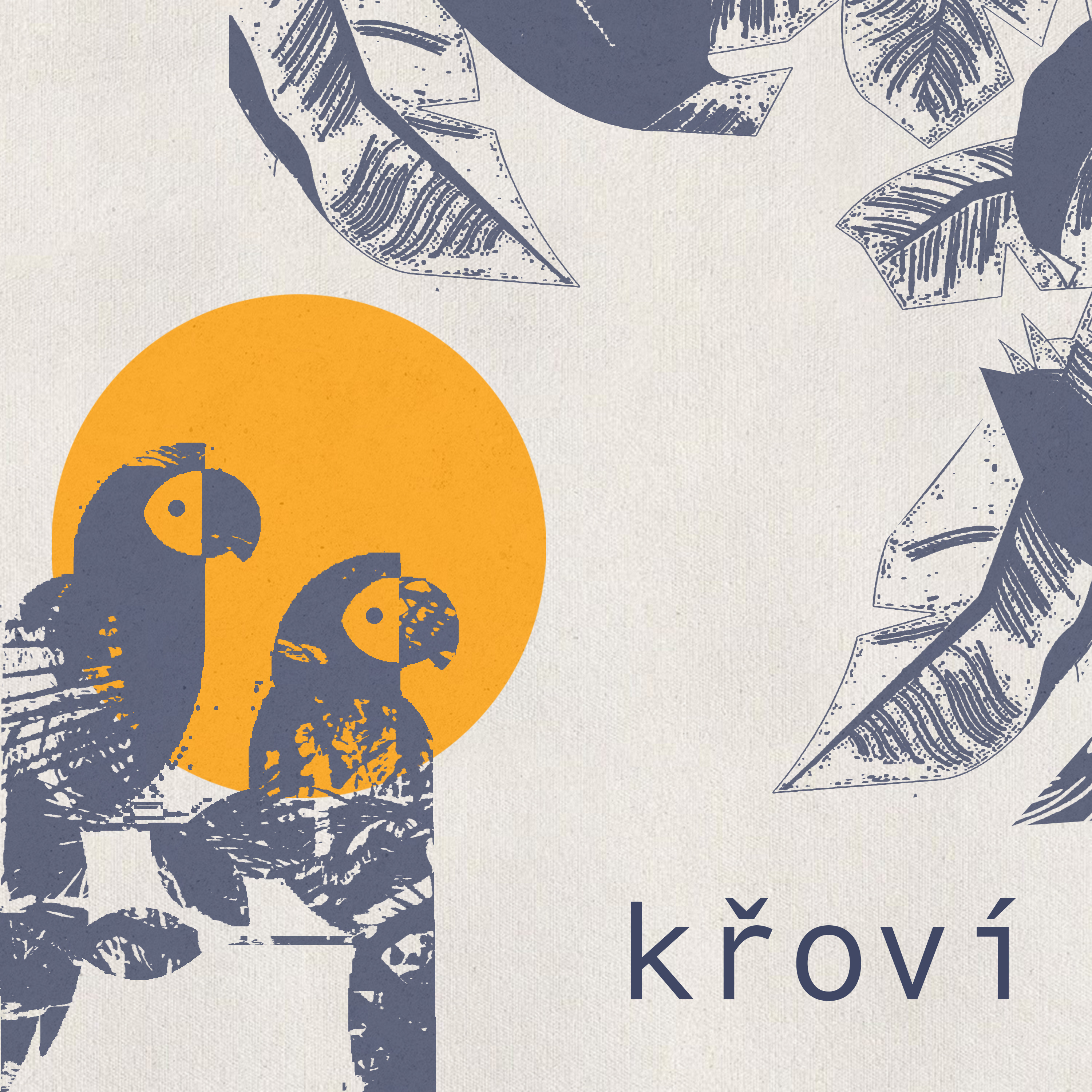 Ochrana pralesa v Kongu a nový dokument Prales zítřka - Tomáš Junek episode artwork