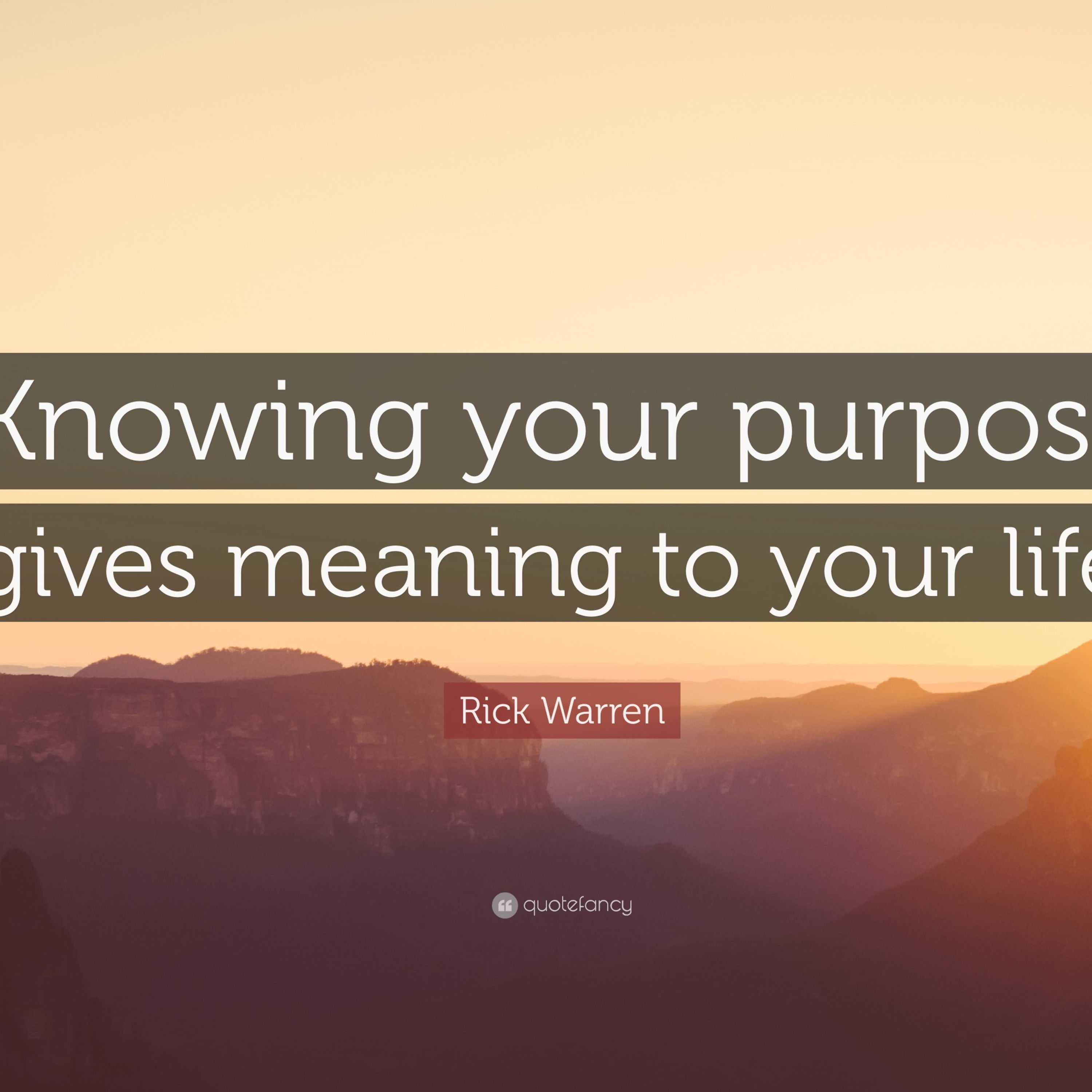 Find your purpose in life  episode artwork