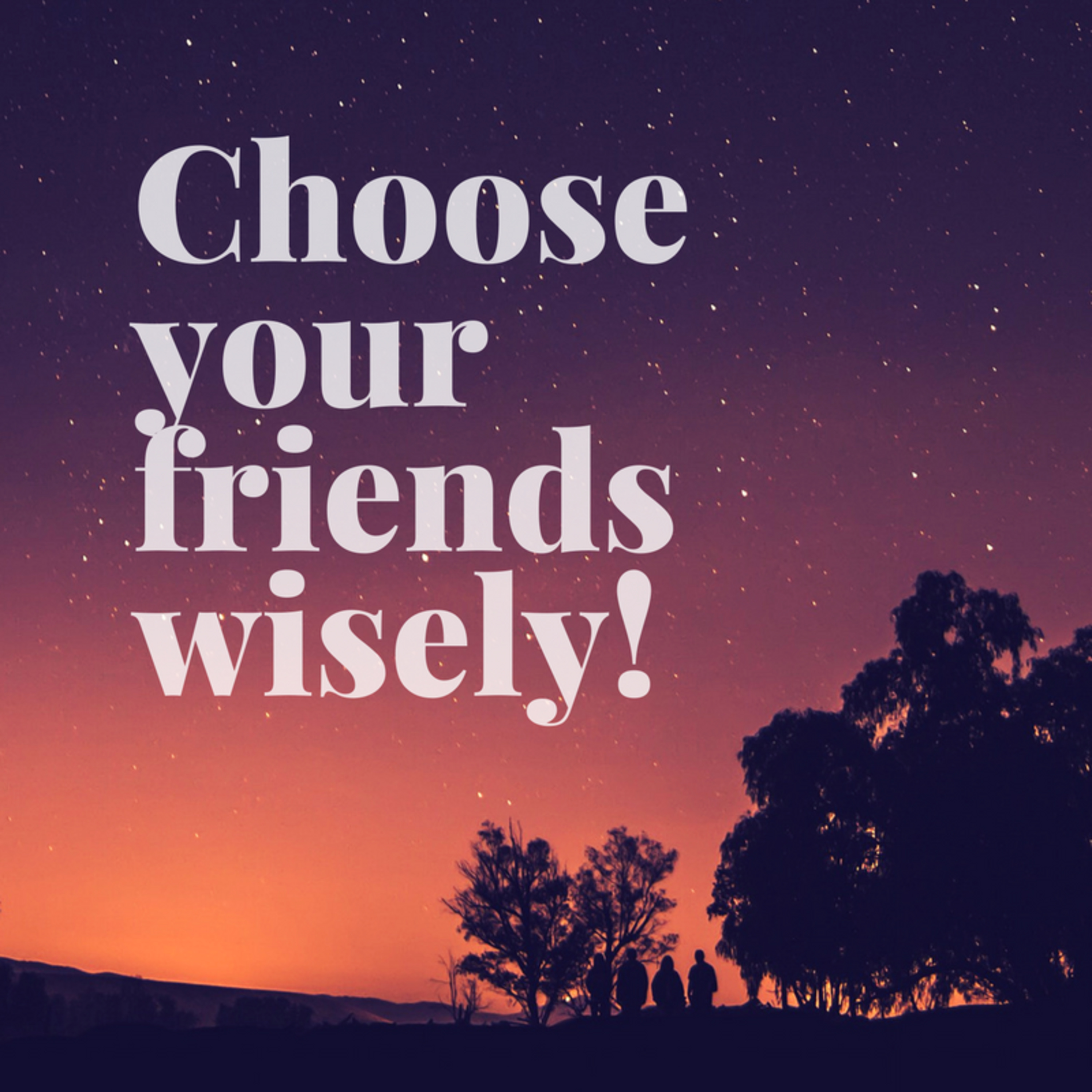  How to Choose freinds wisely  episode artwork