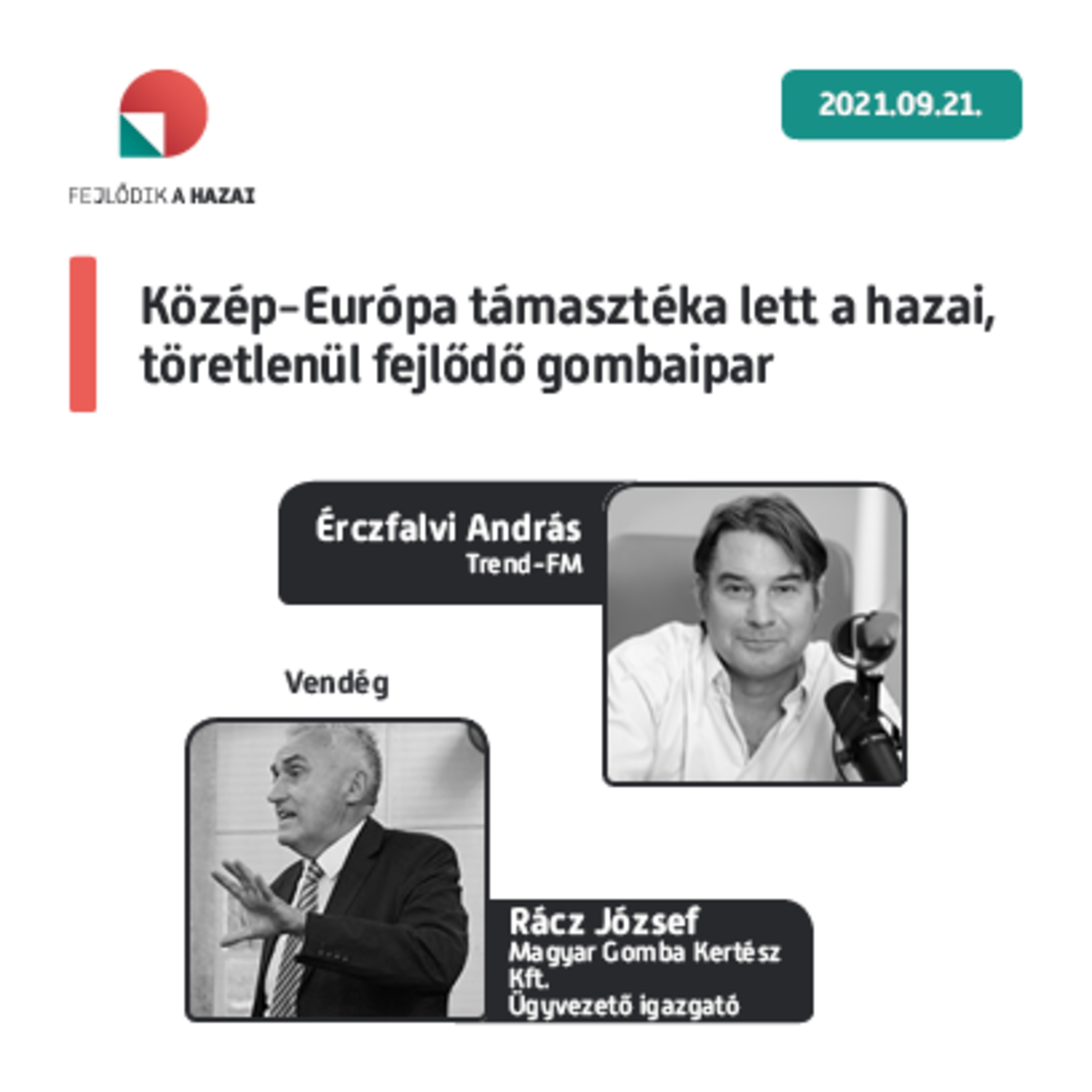 Fejlődik a hazai