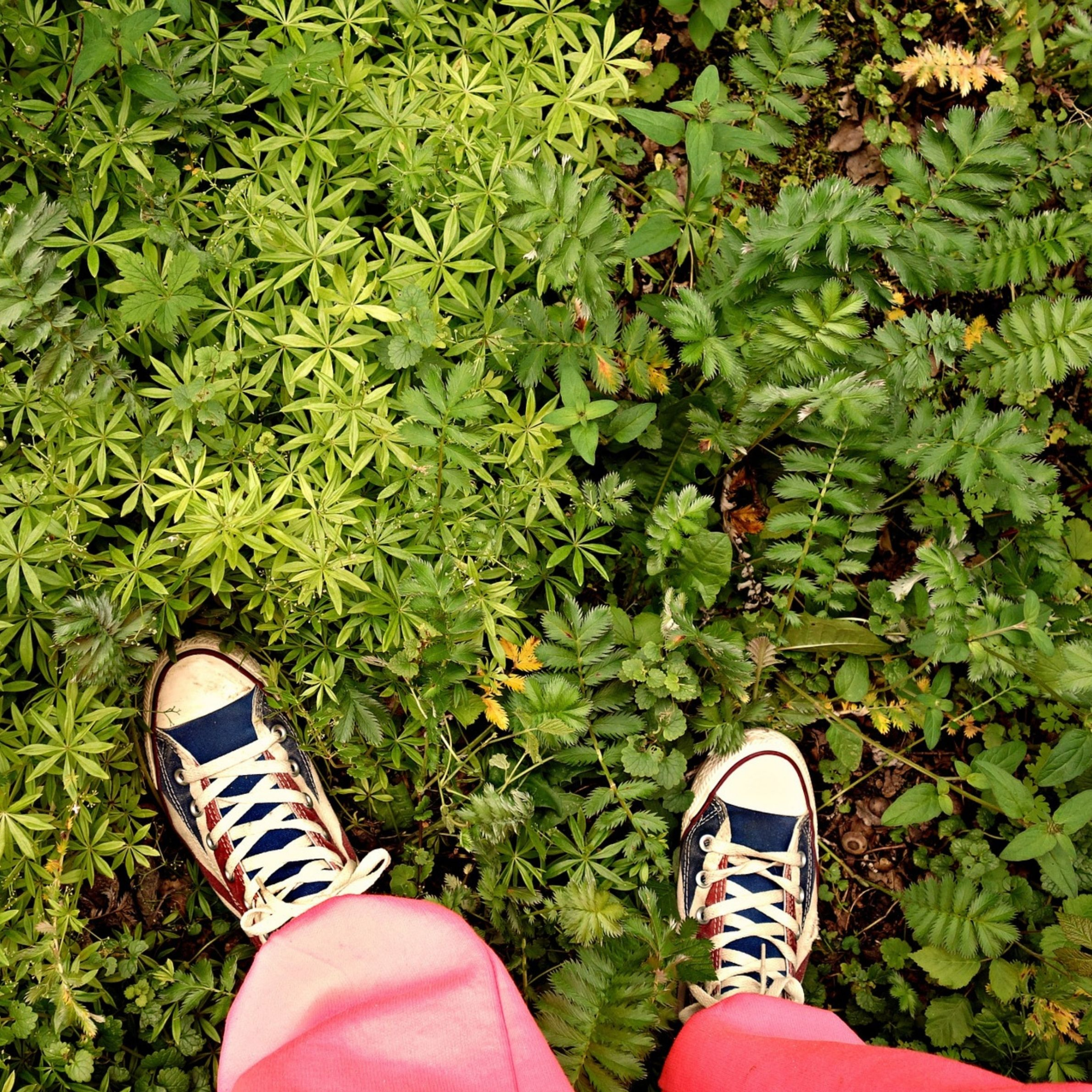 Meditação Alienígena