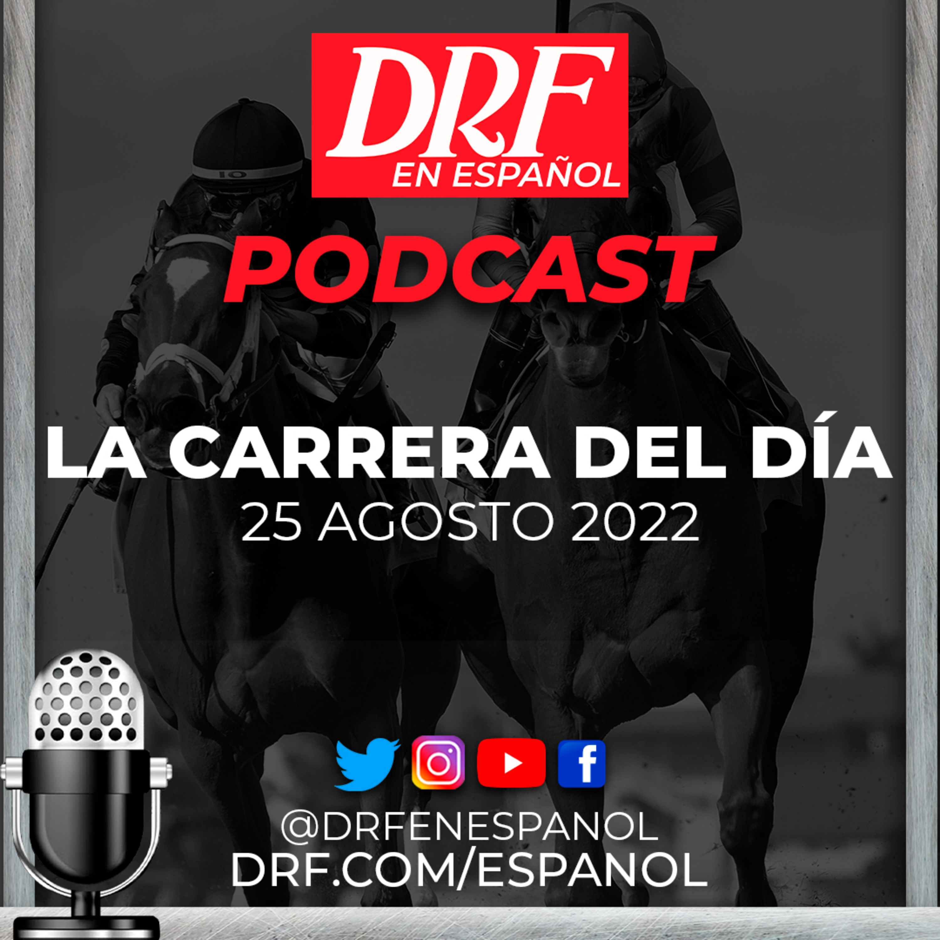 Portada de DRF en Español Podcast