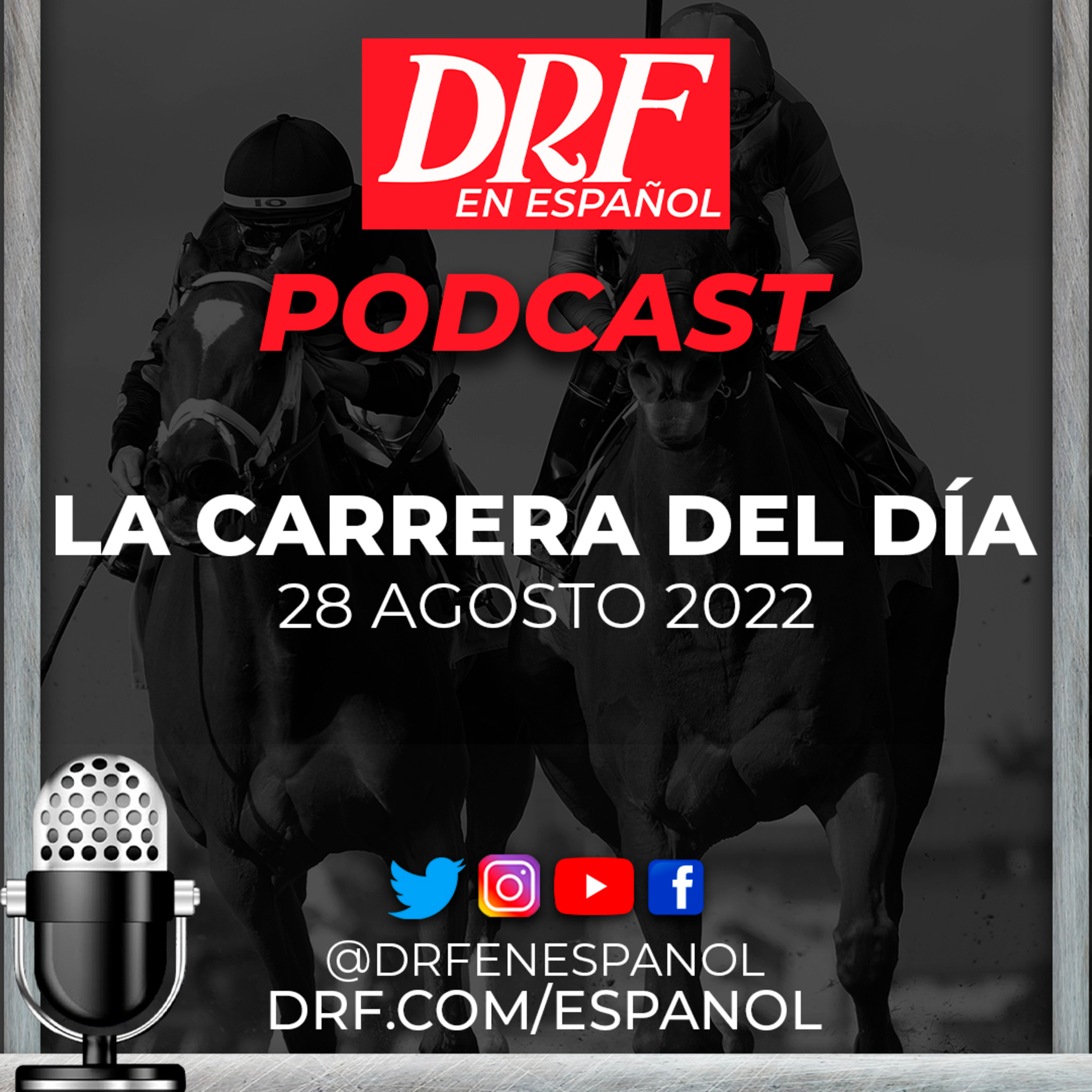 Portada de DRF en Español Podcast