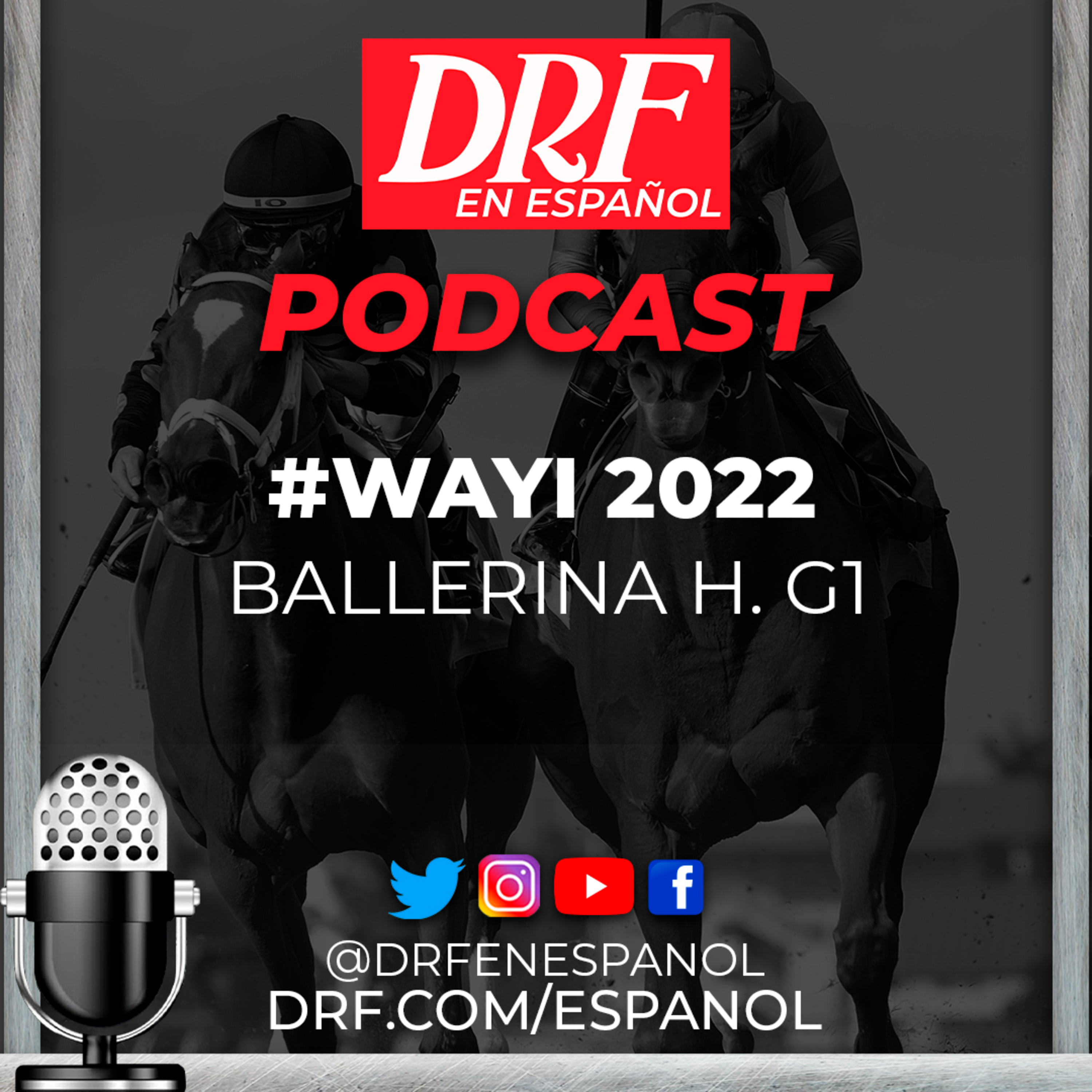 DRF en Español Podcast