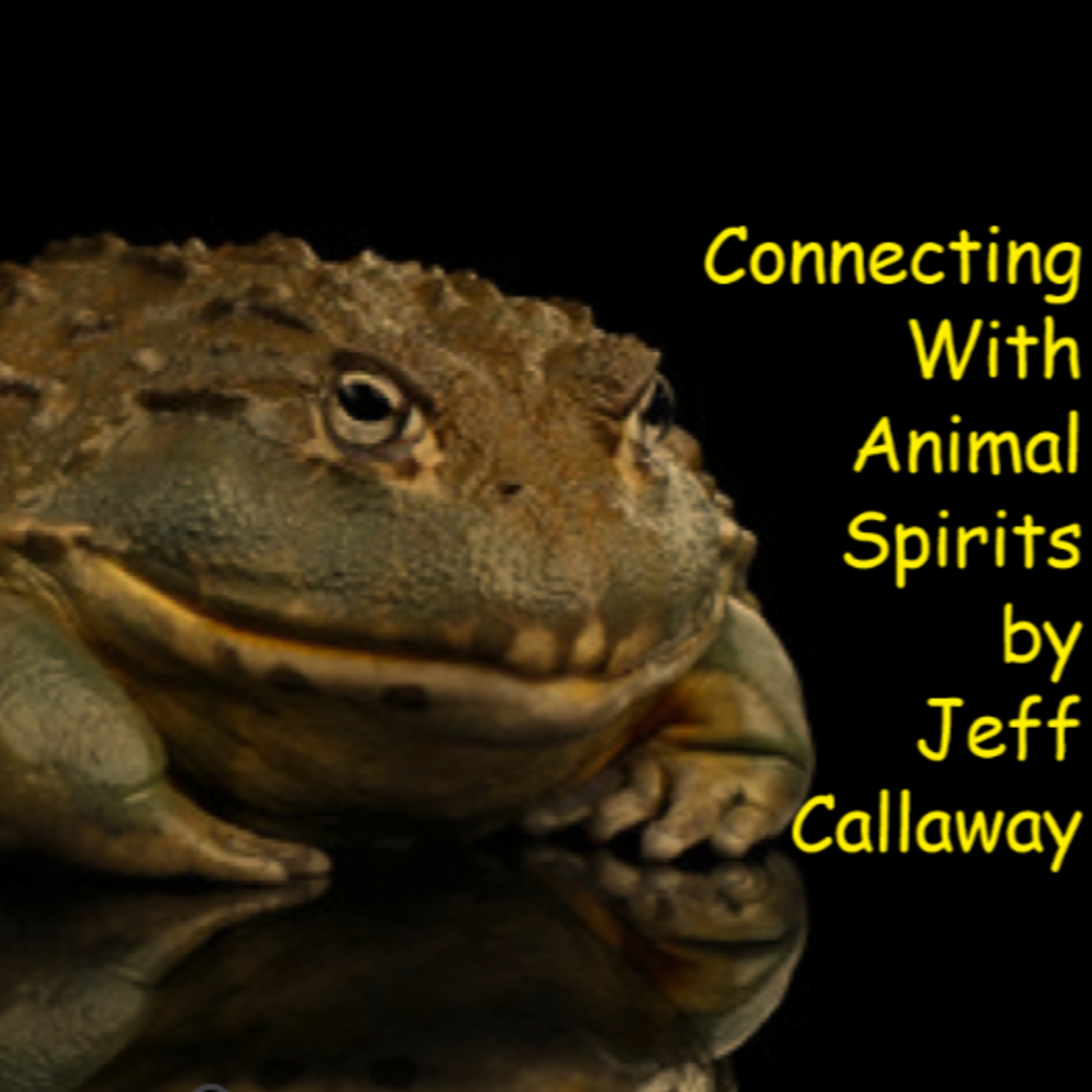 TEXAS OUTLAW POET