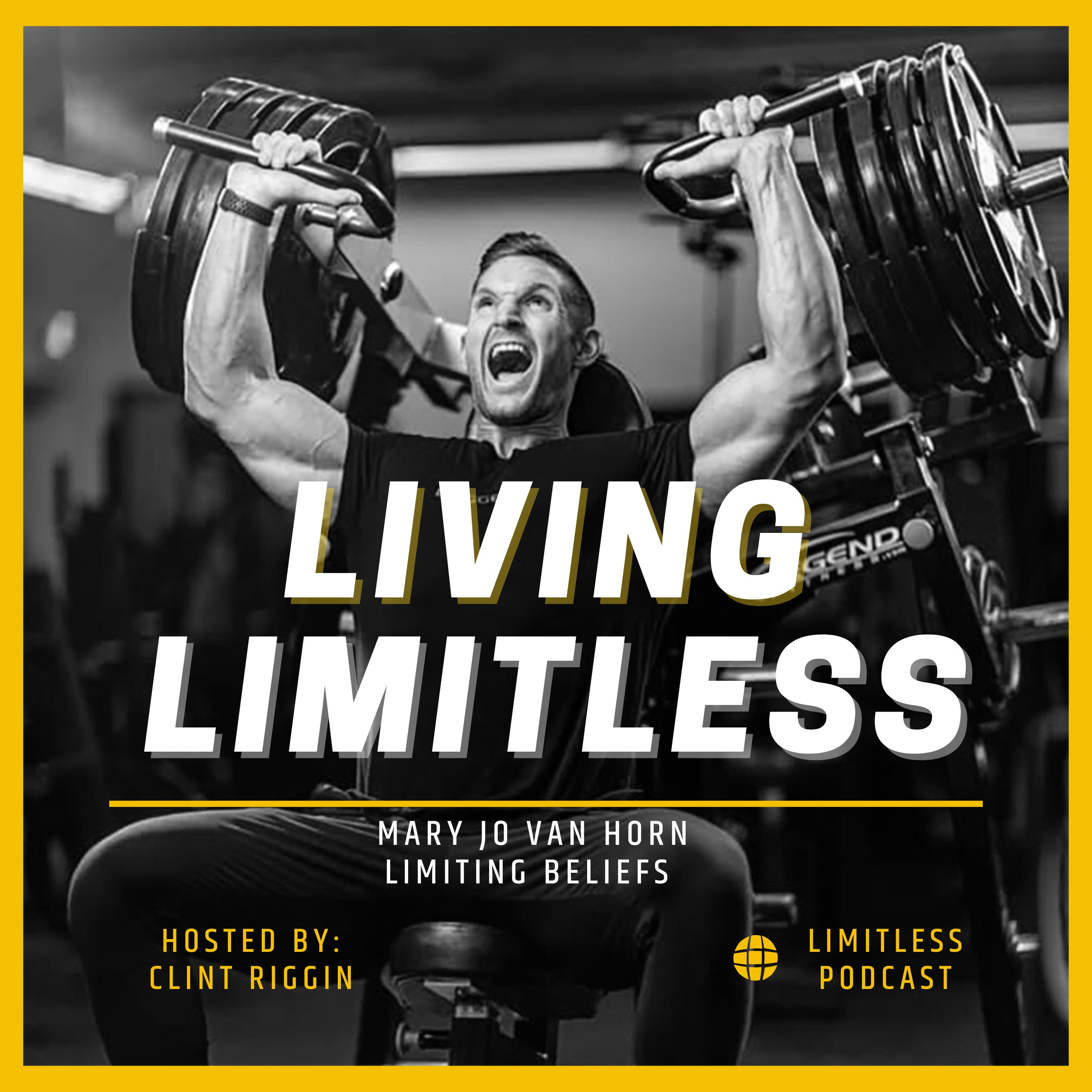 Limiting Beliefs With Mary Jo Van Horn  episode artwork