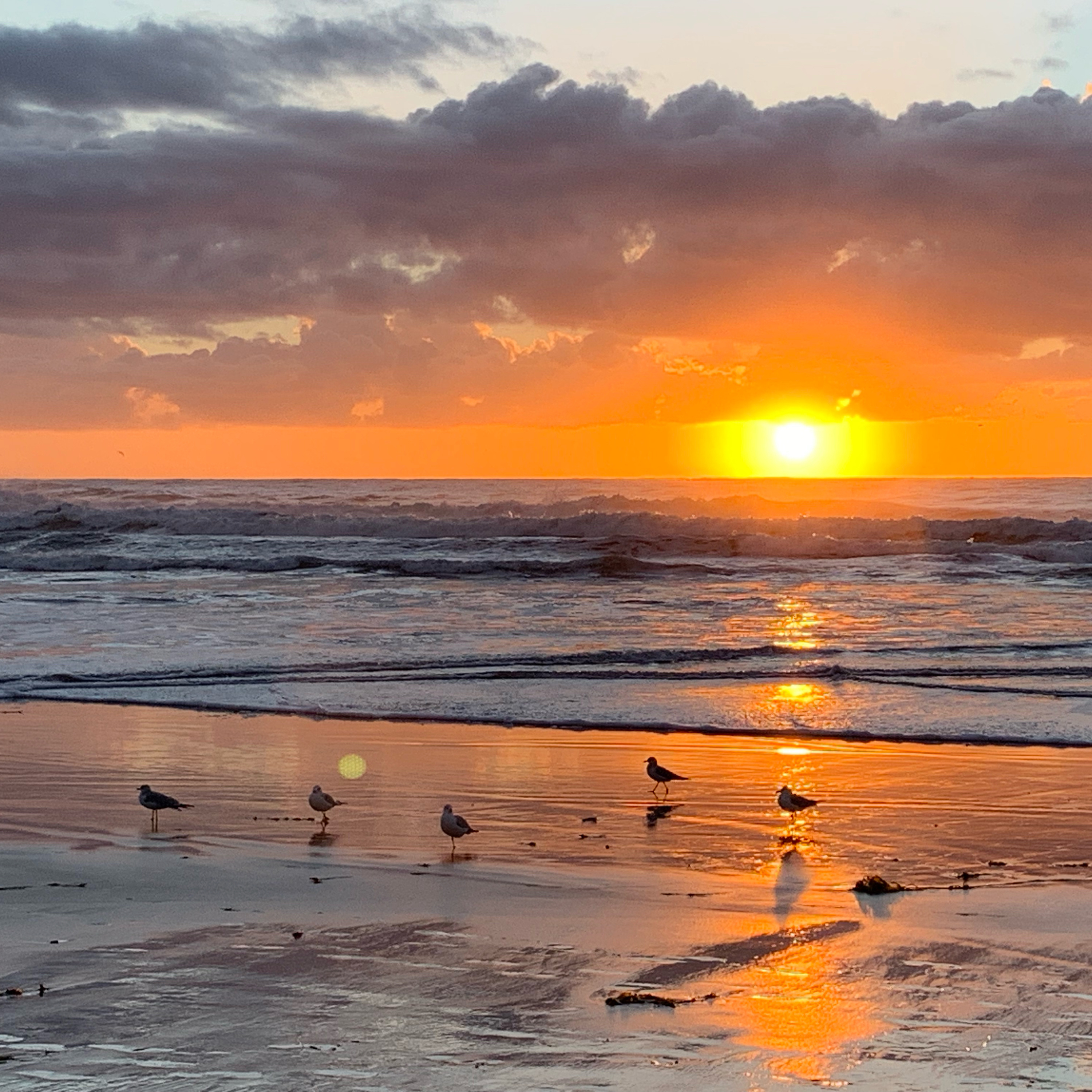 5 Minute Guided Meditation-Body scan