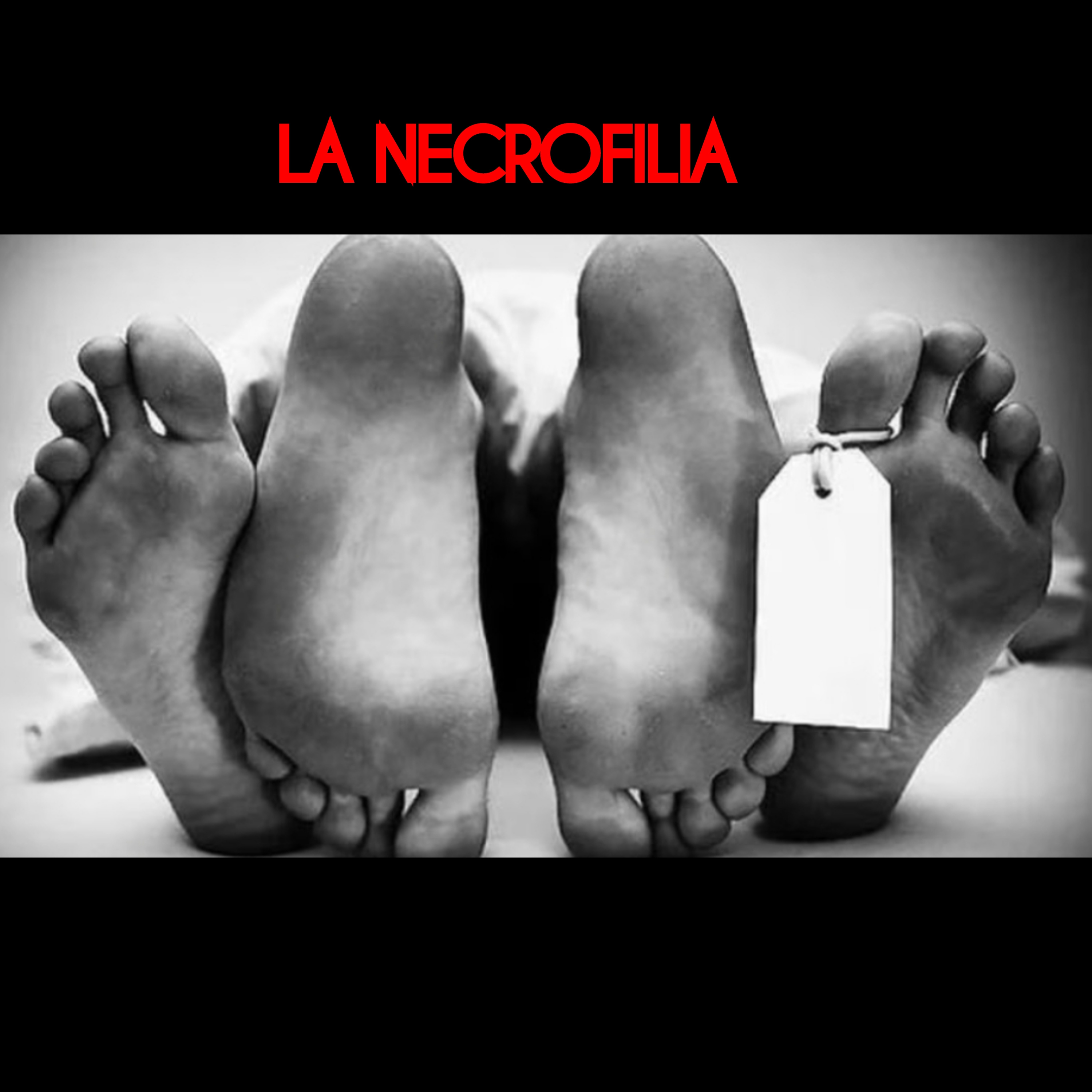 UN ASESINO ENTRE NOSOTROS
