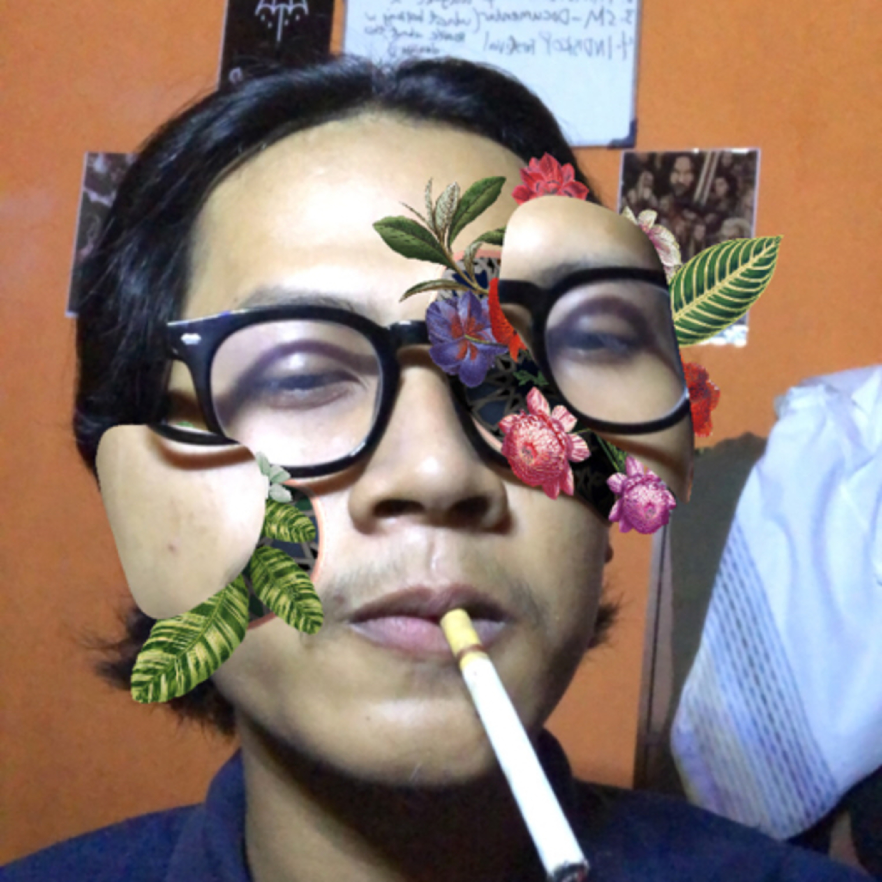 Osom Behavior