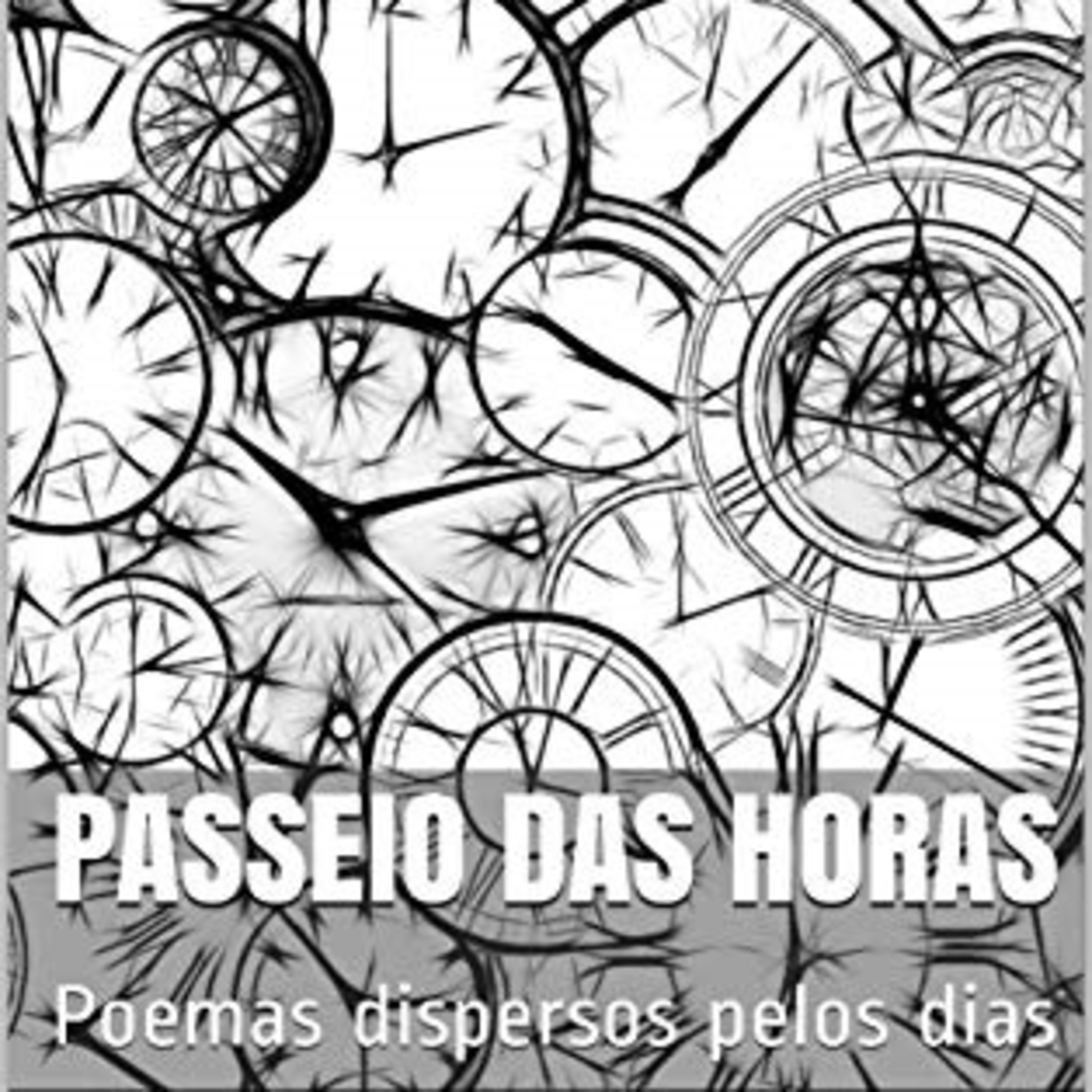 POESIA VOZ POÉTICA