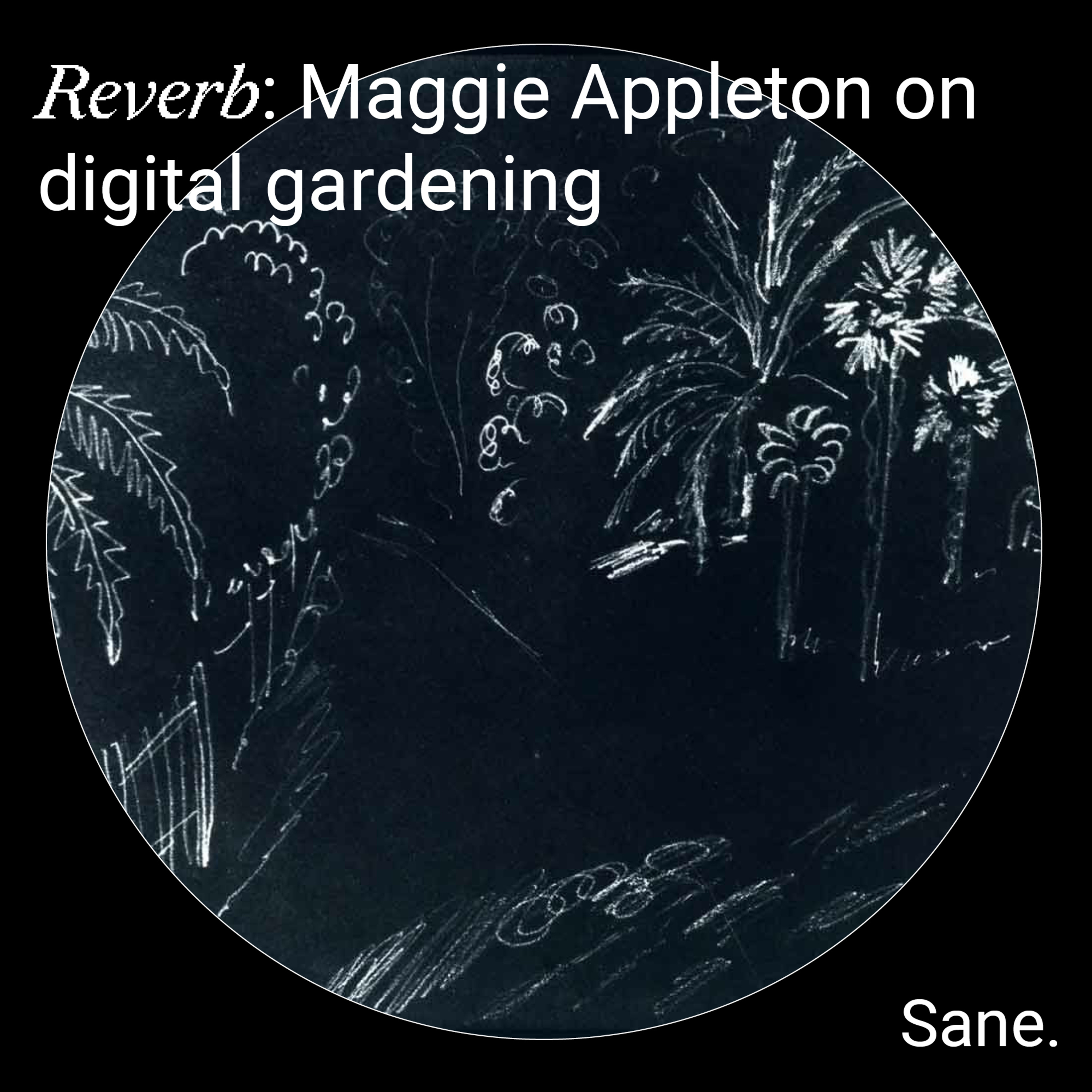 Reverb by Sane