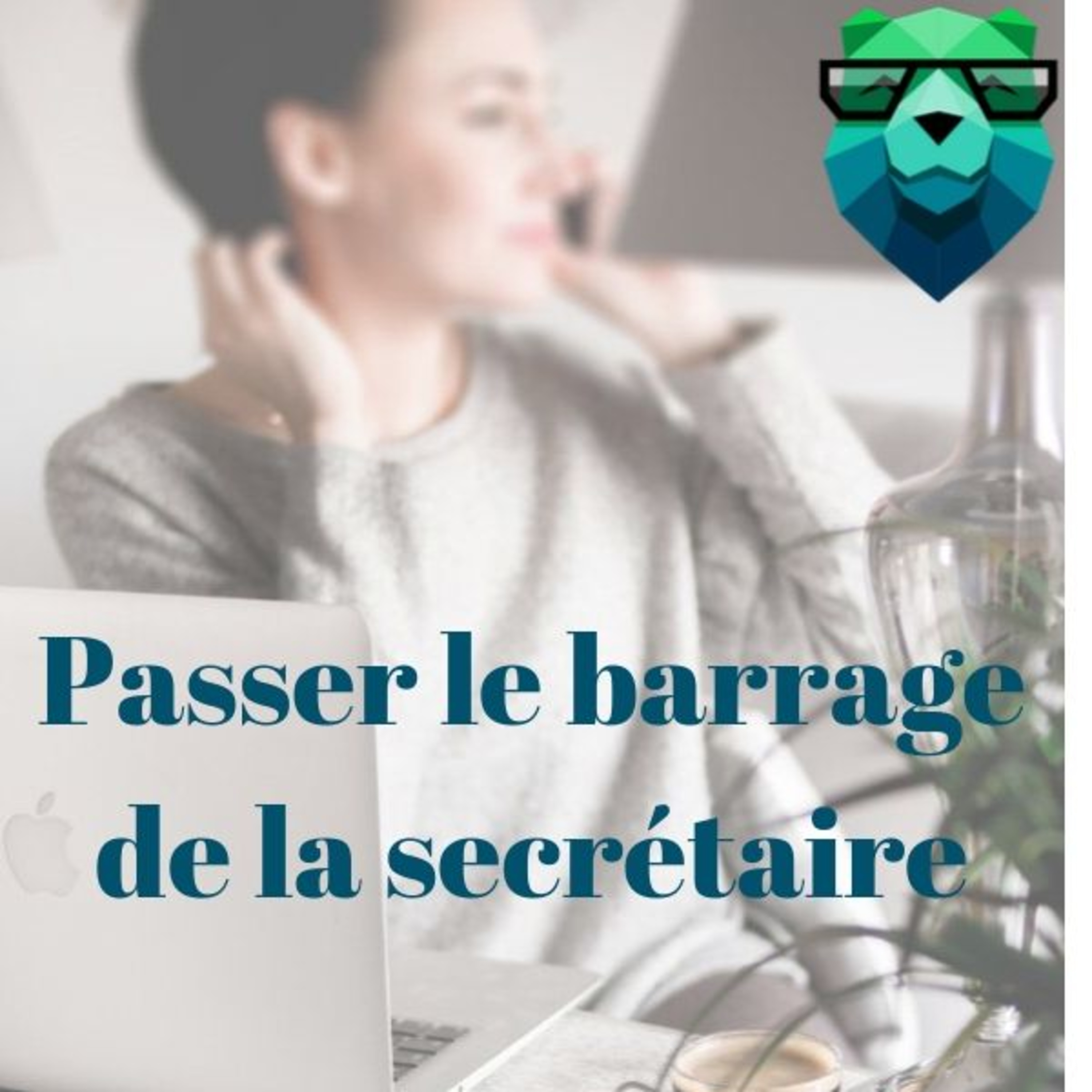 Votre Coach Commercial