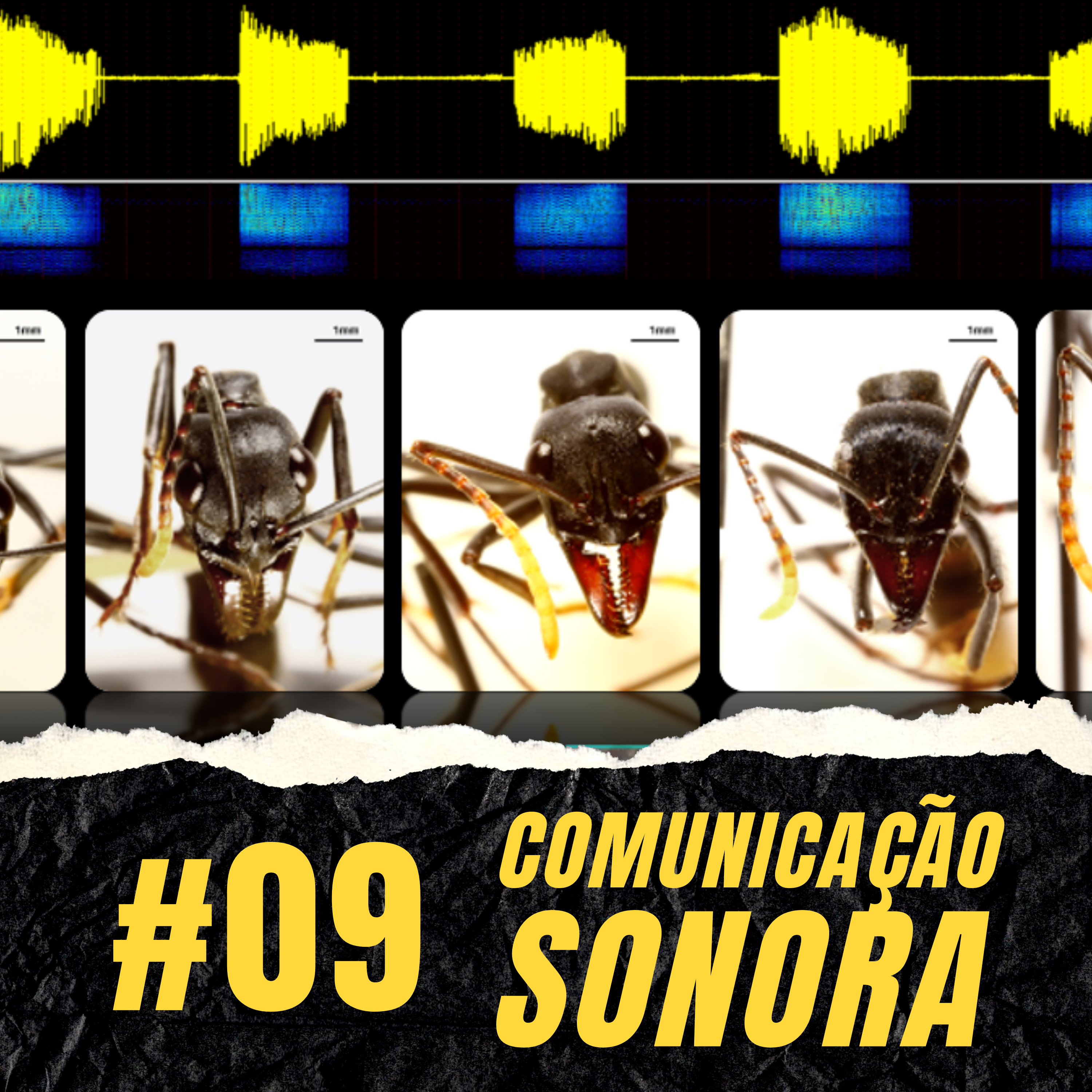 Atiçando o formigueiro