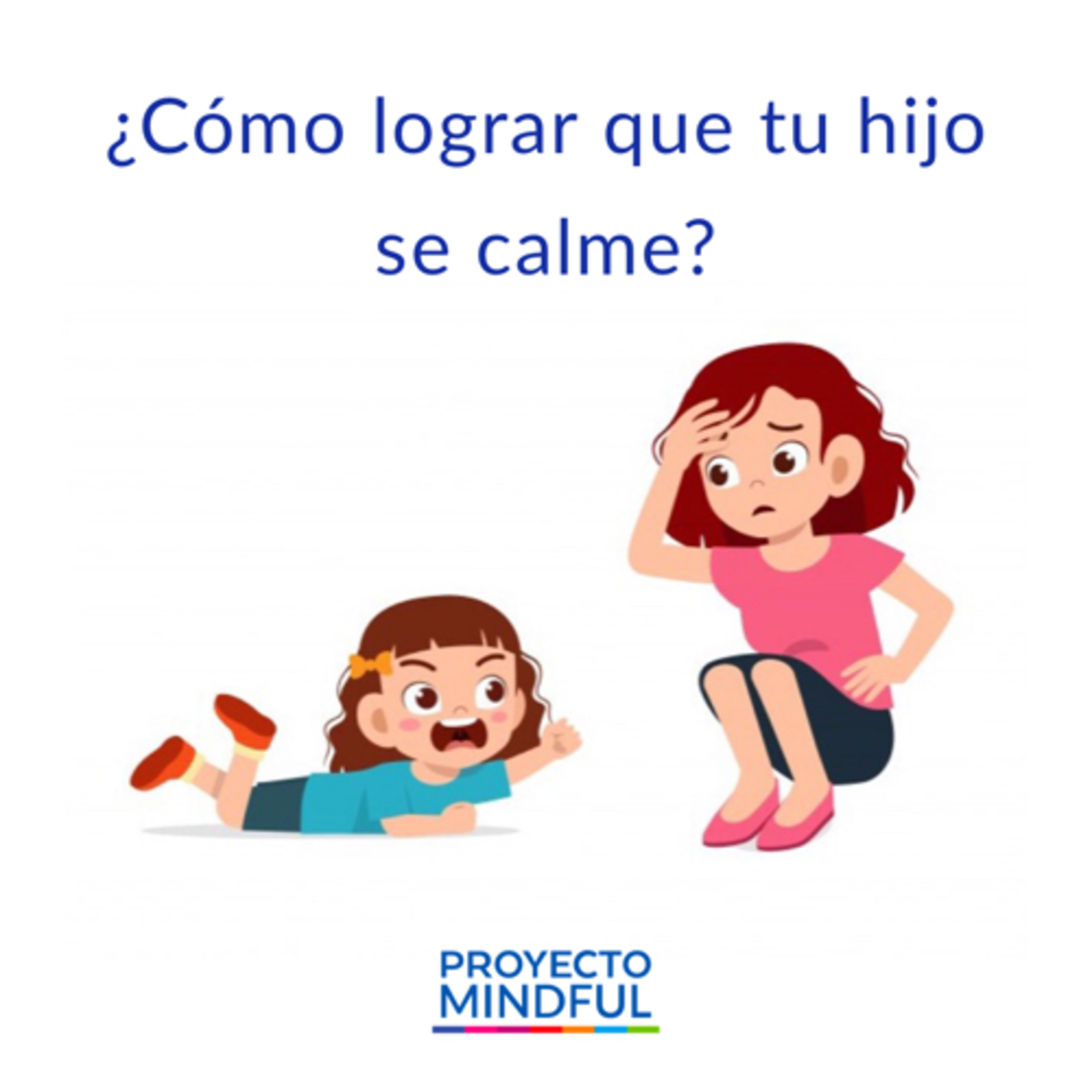 PROYECTO MINDFUL