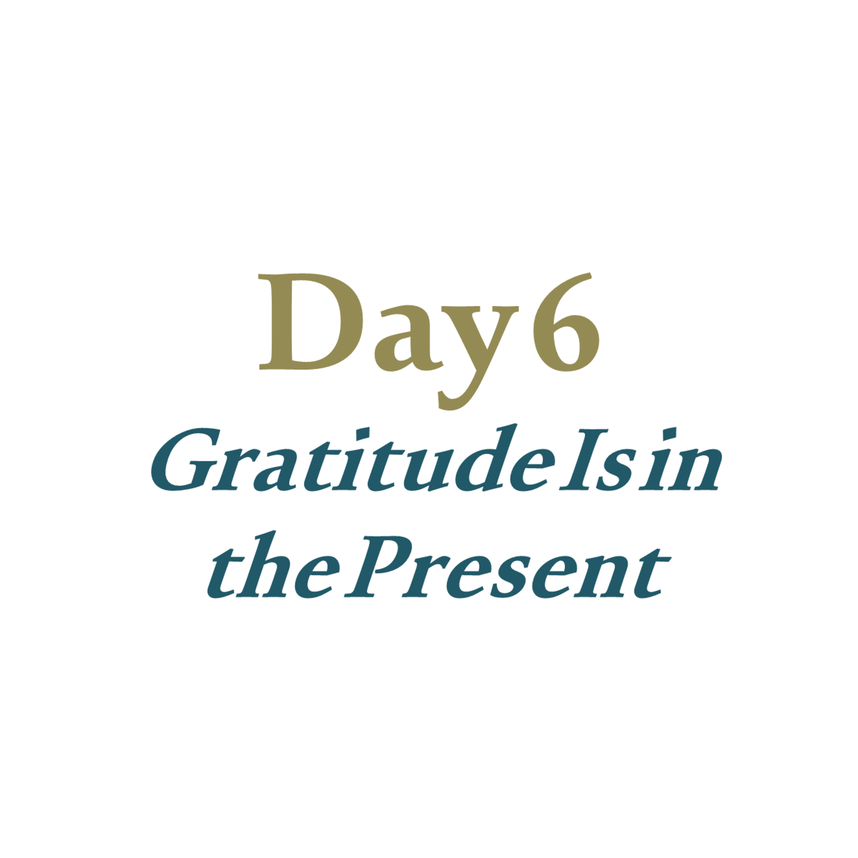 Day 6 - Gratitude Is in the Present