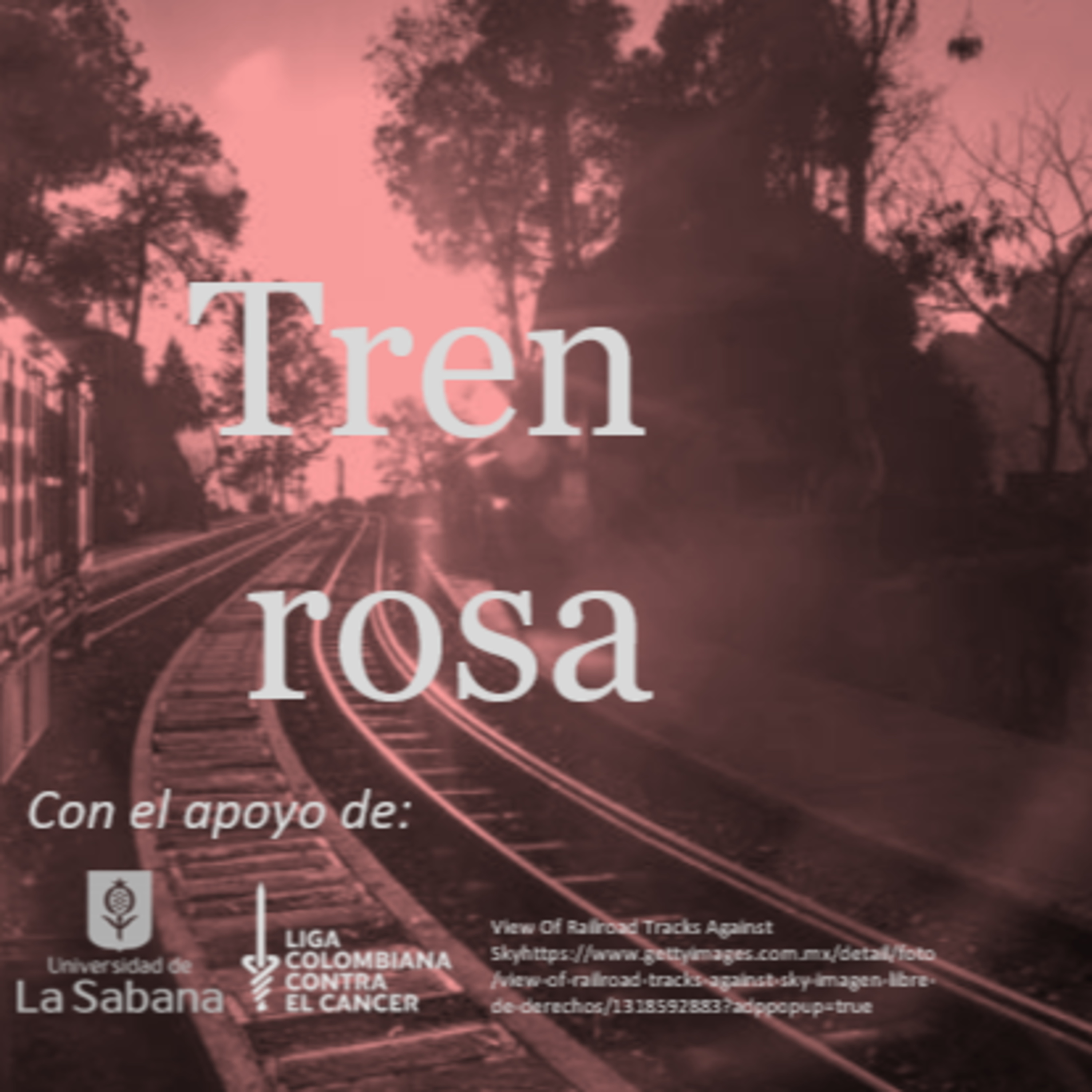 Tren rosa