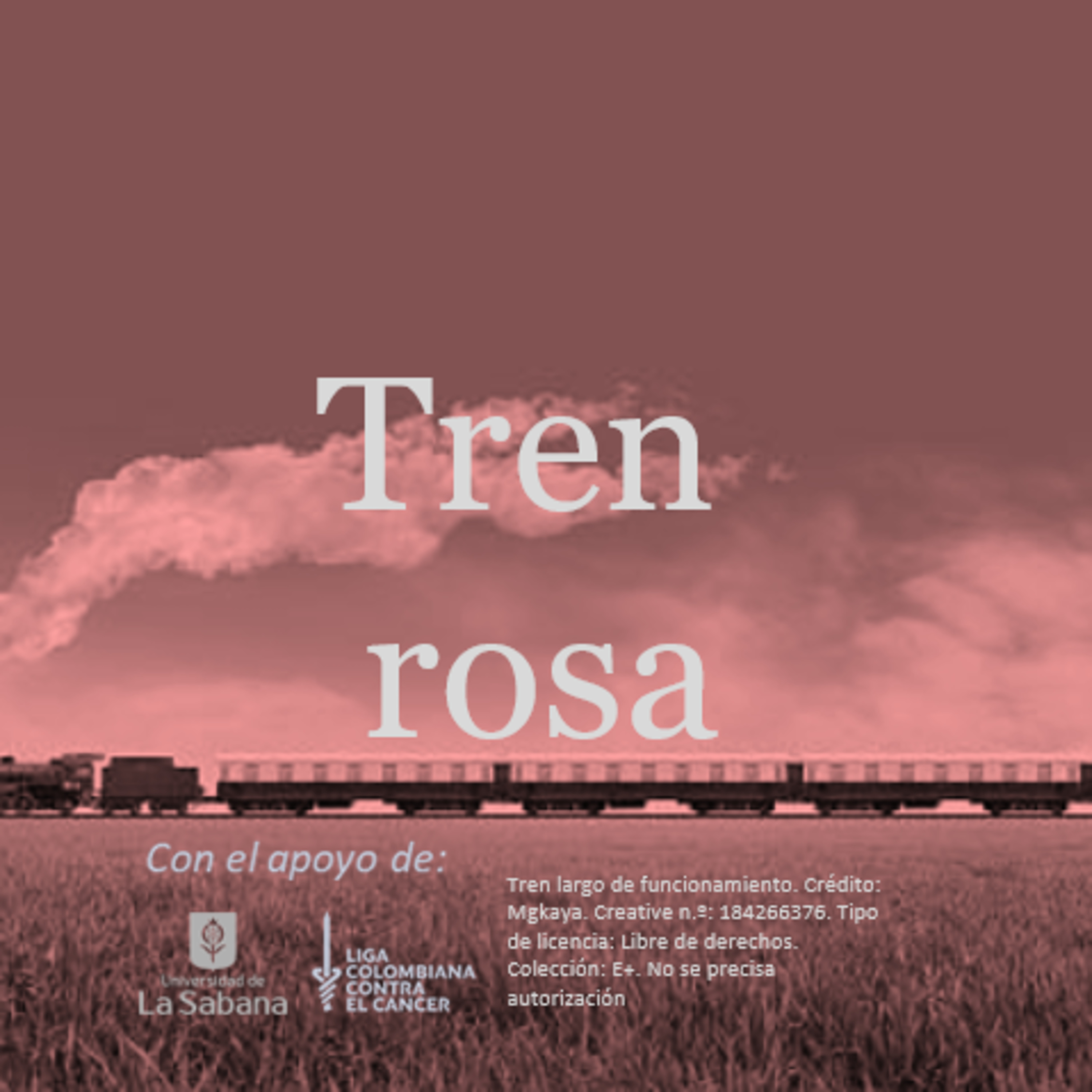 Tren rosa
