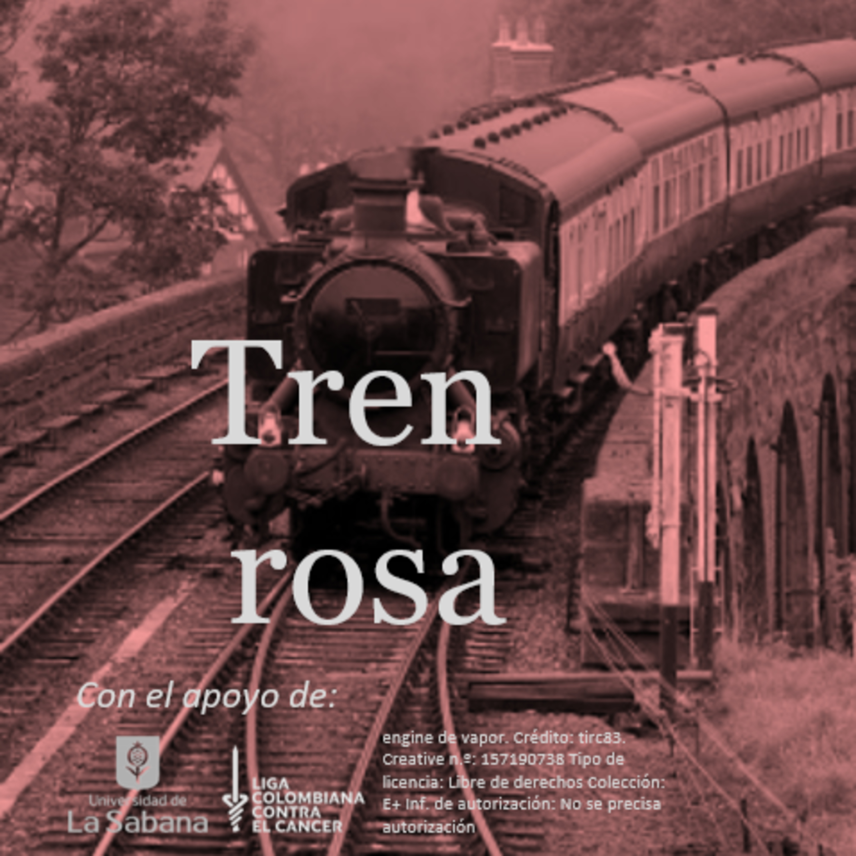 Tren rosa