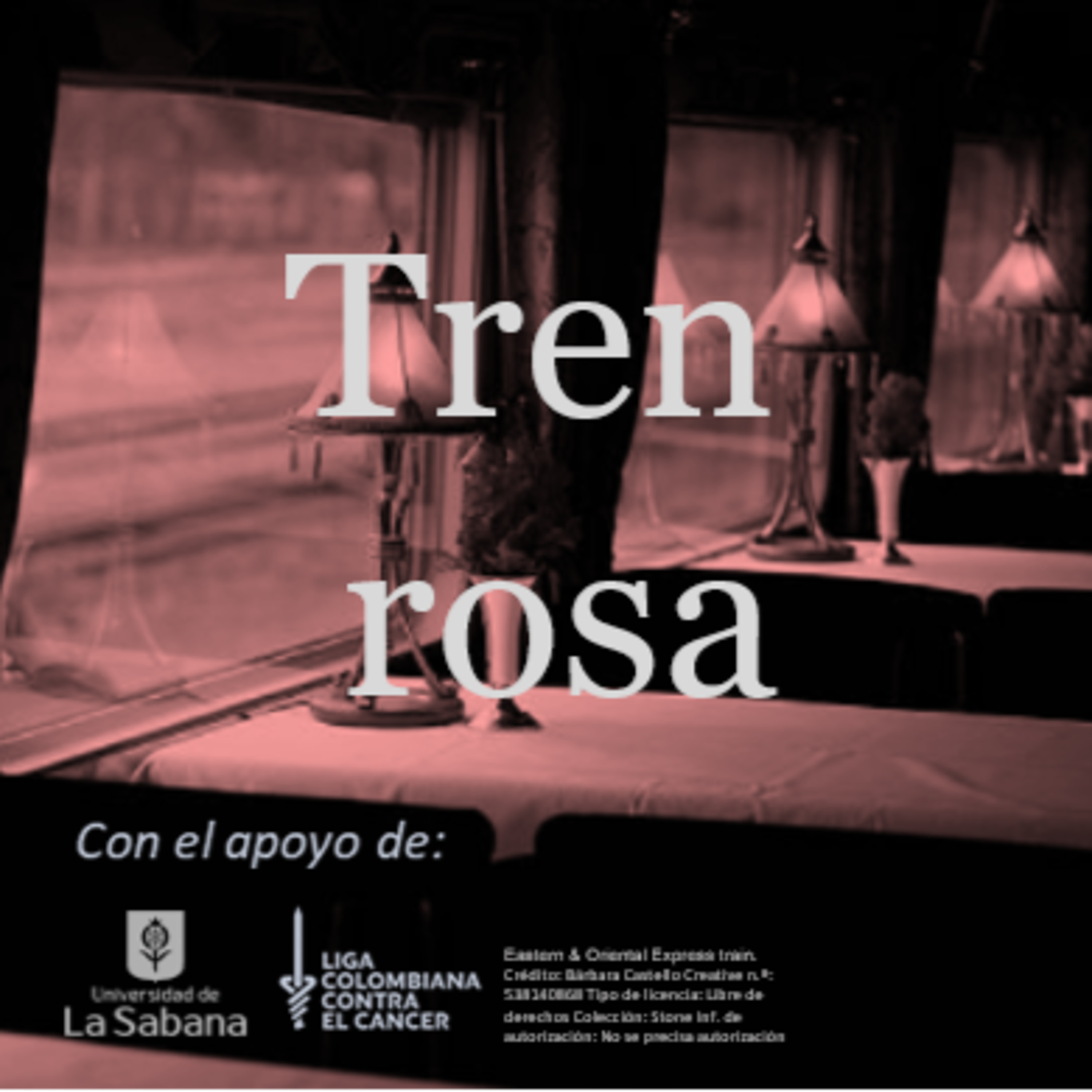 Tren rosa