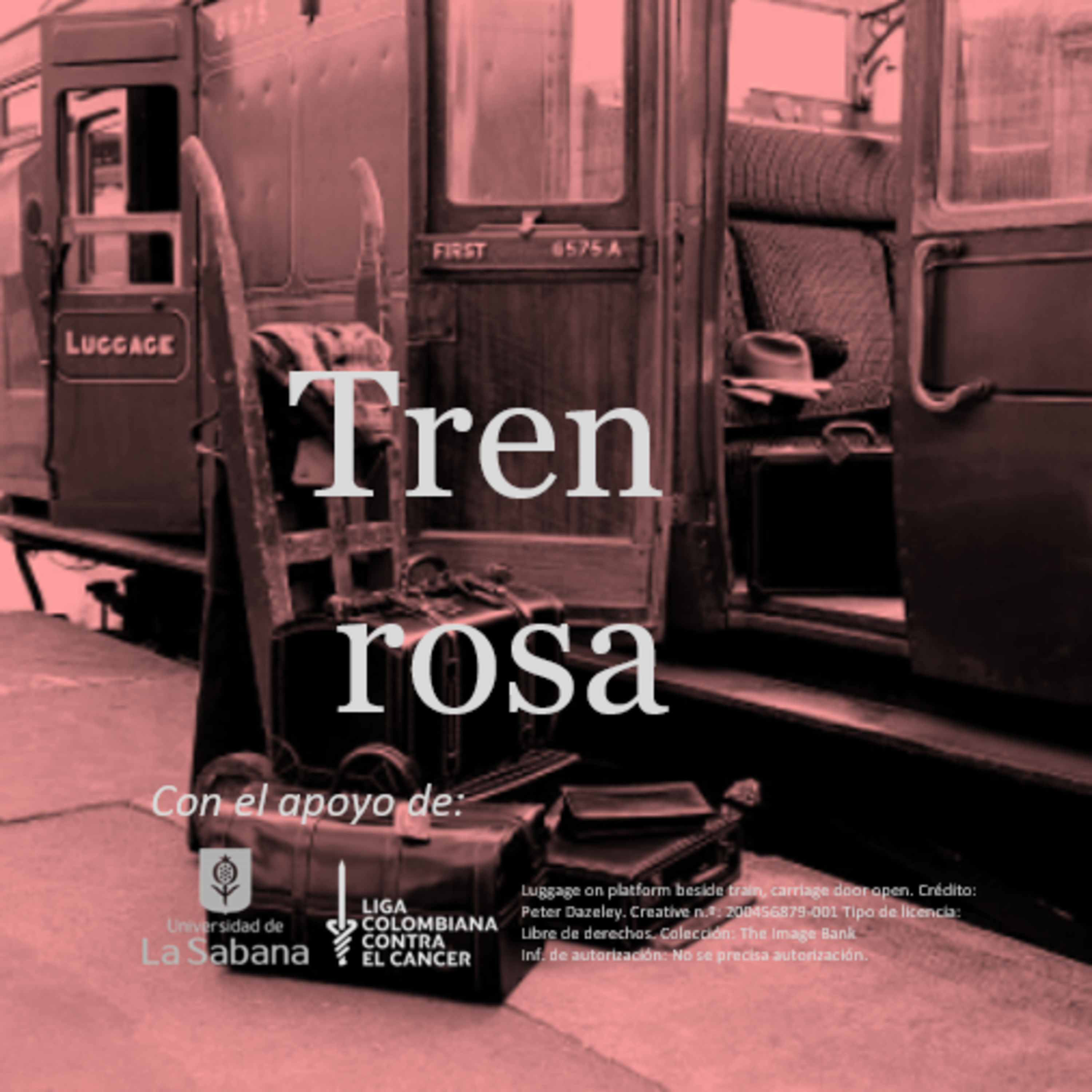 Tren rosa