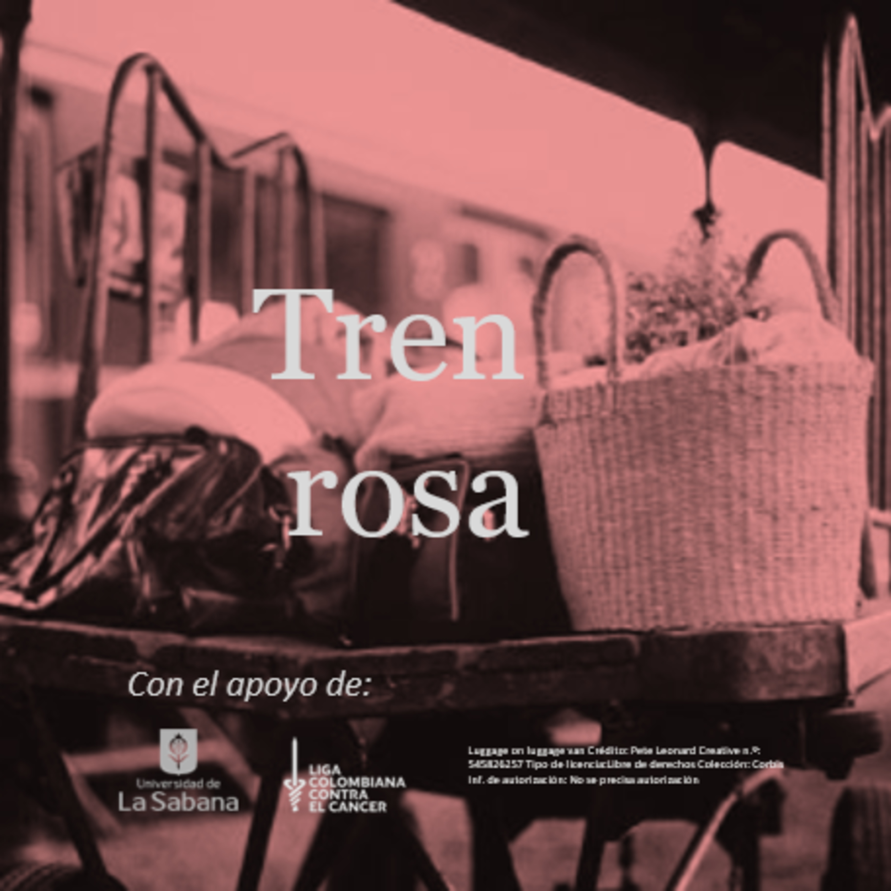 Tren rosa