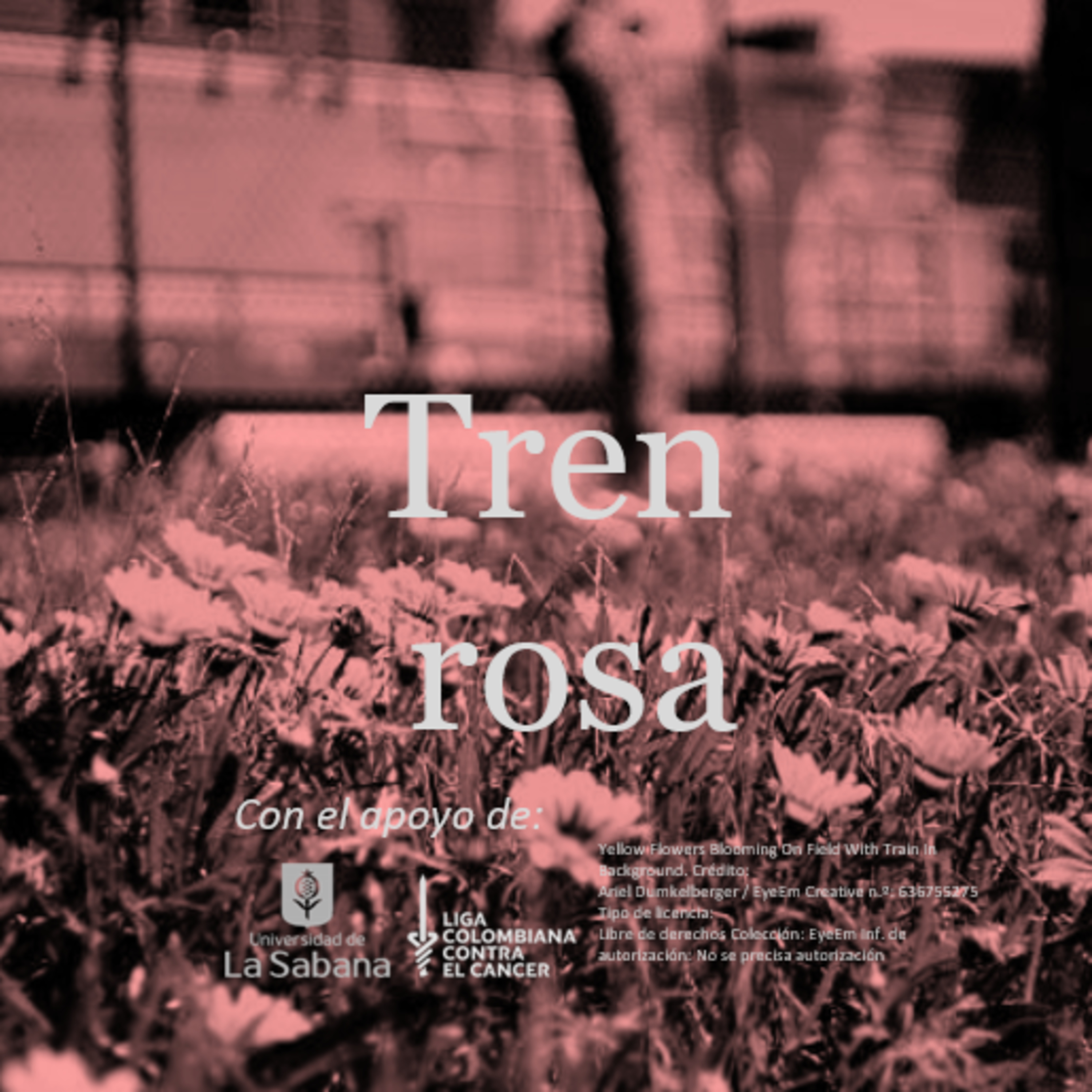 Tren rosa