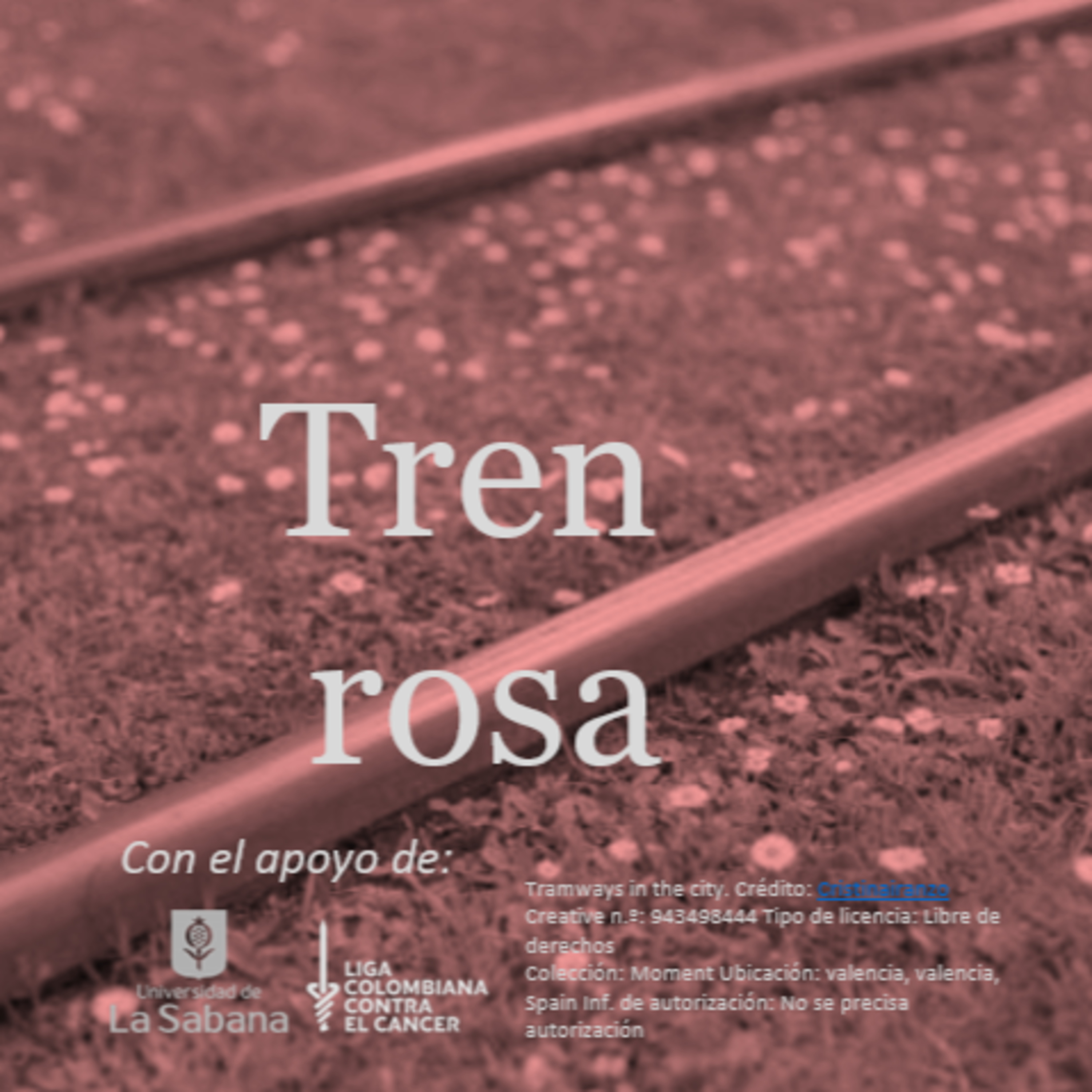 Tren rosa
