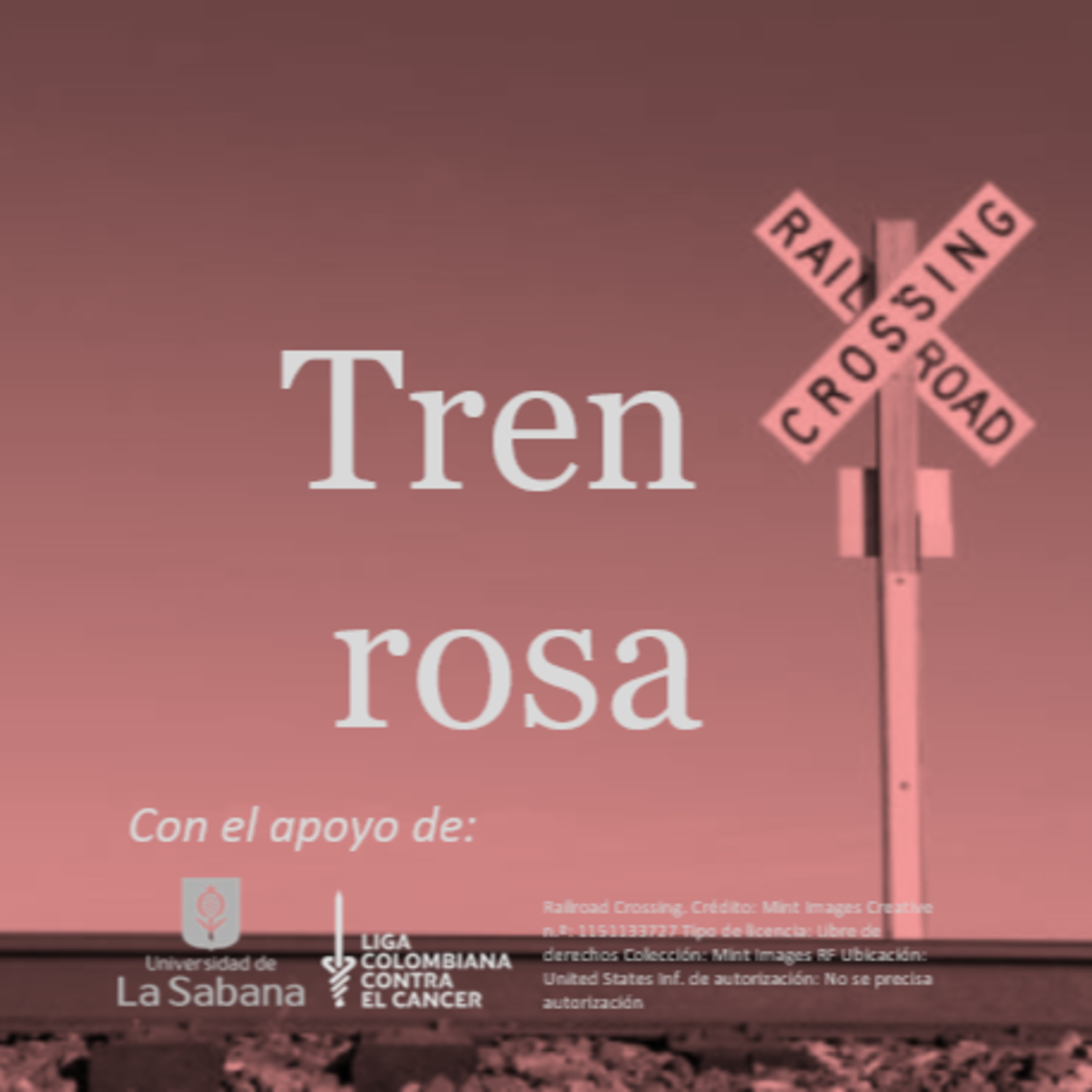 Tren rosa