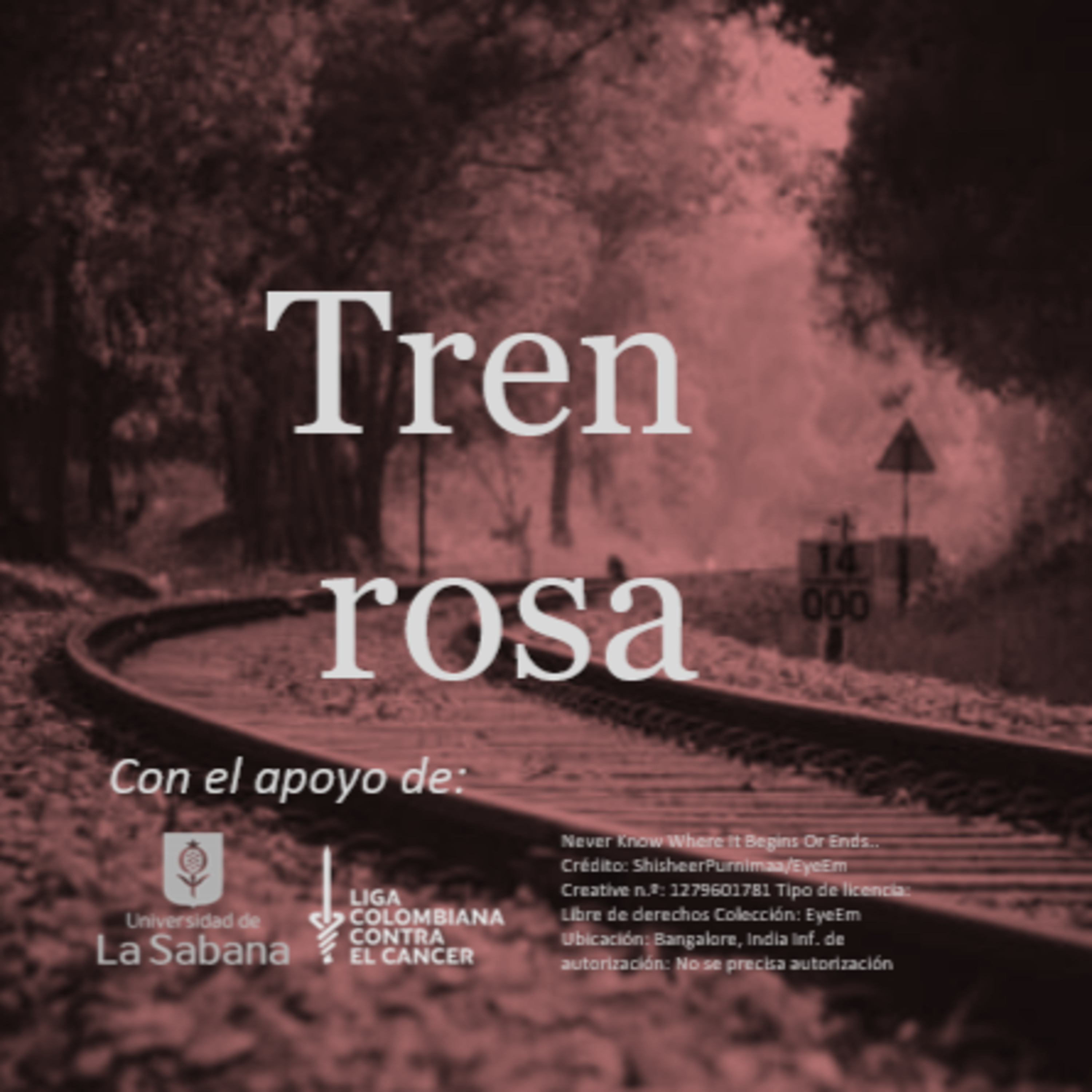 Tren rosa