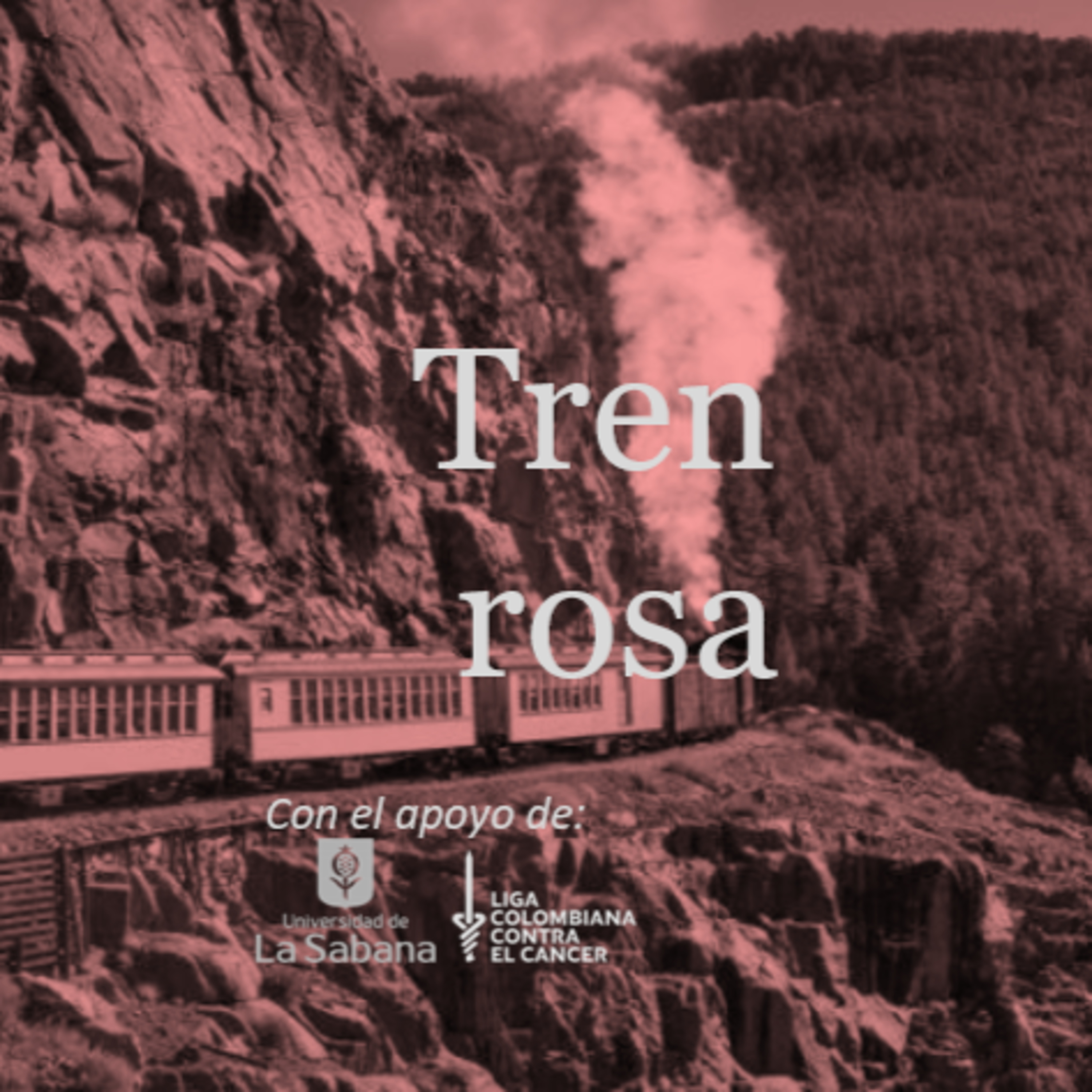 Tren rosa