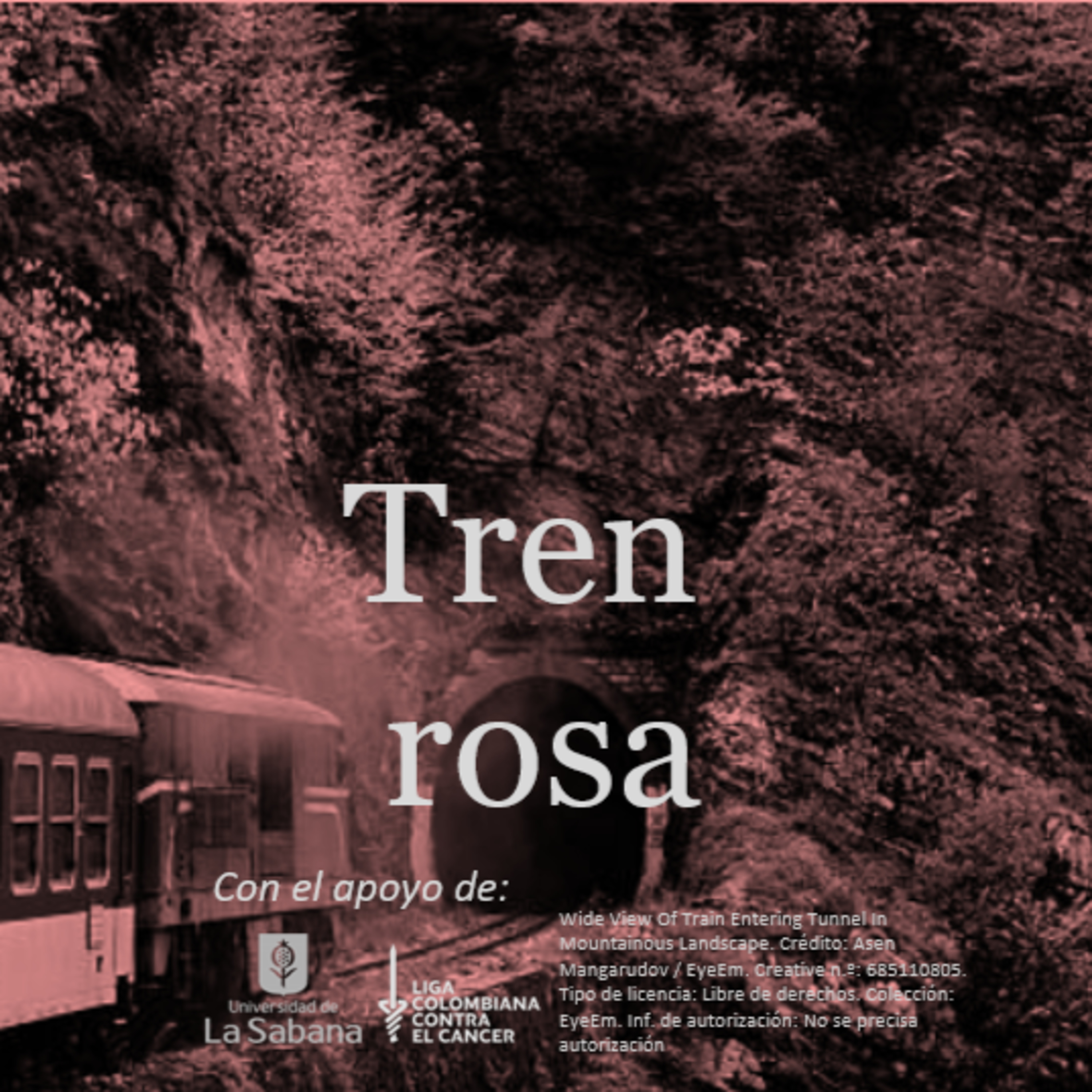 Tren rosa