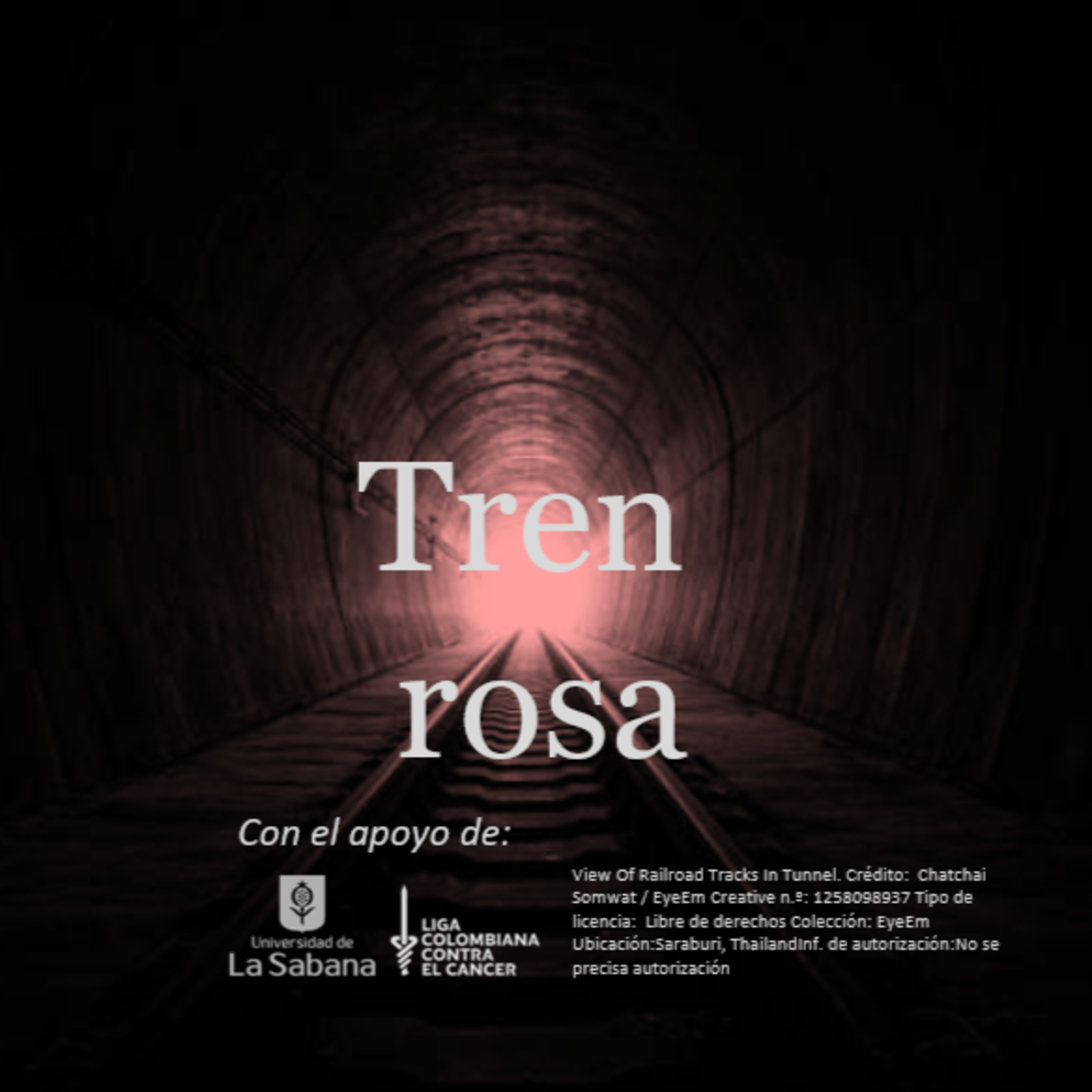 Tren rosa
