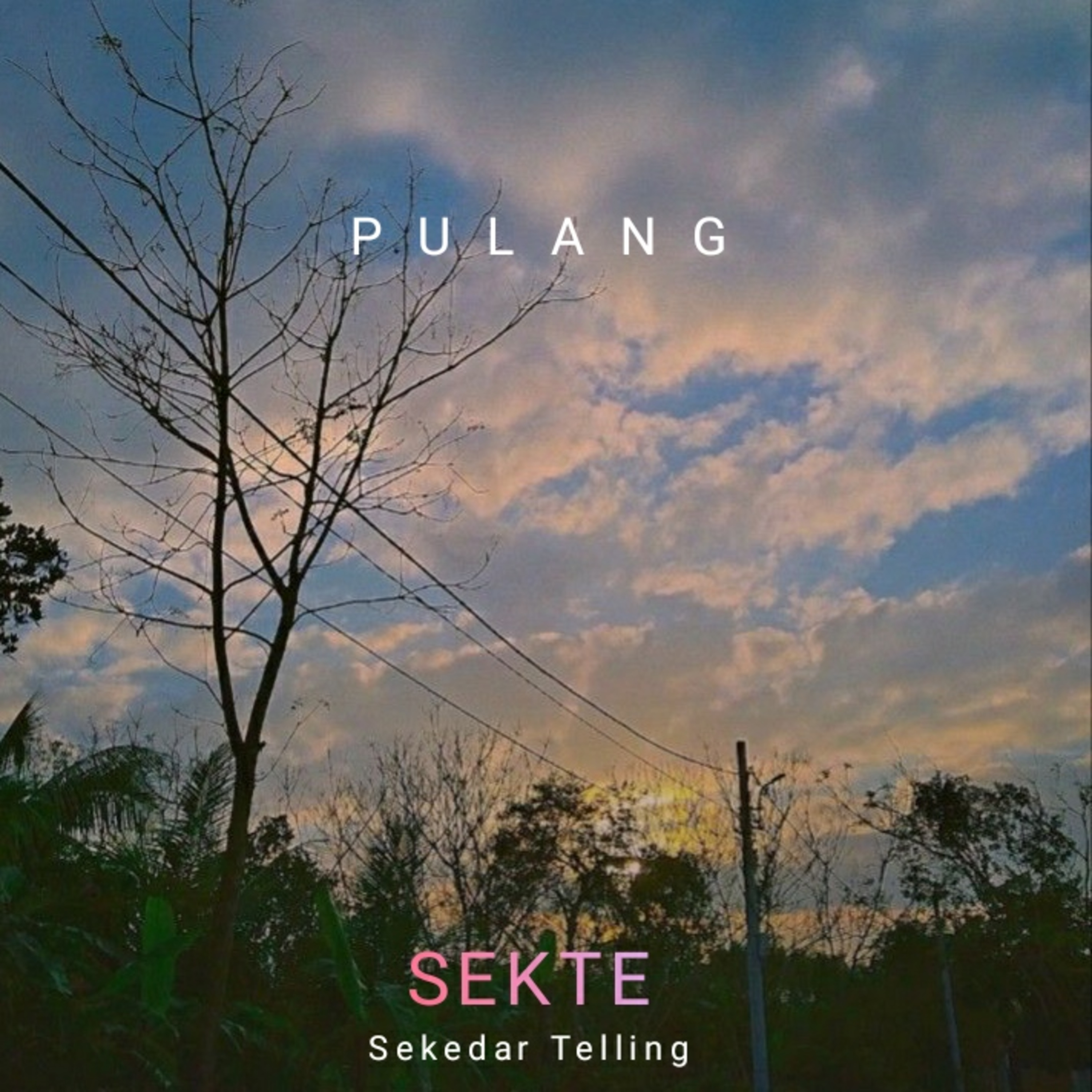 SEKTE (Sekedar Telling)