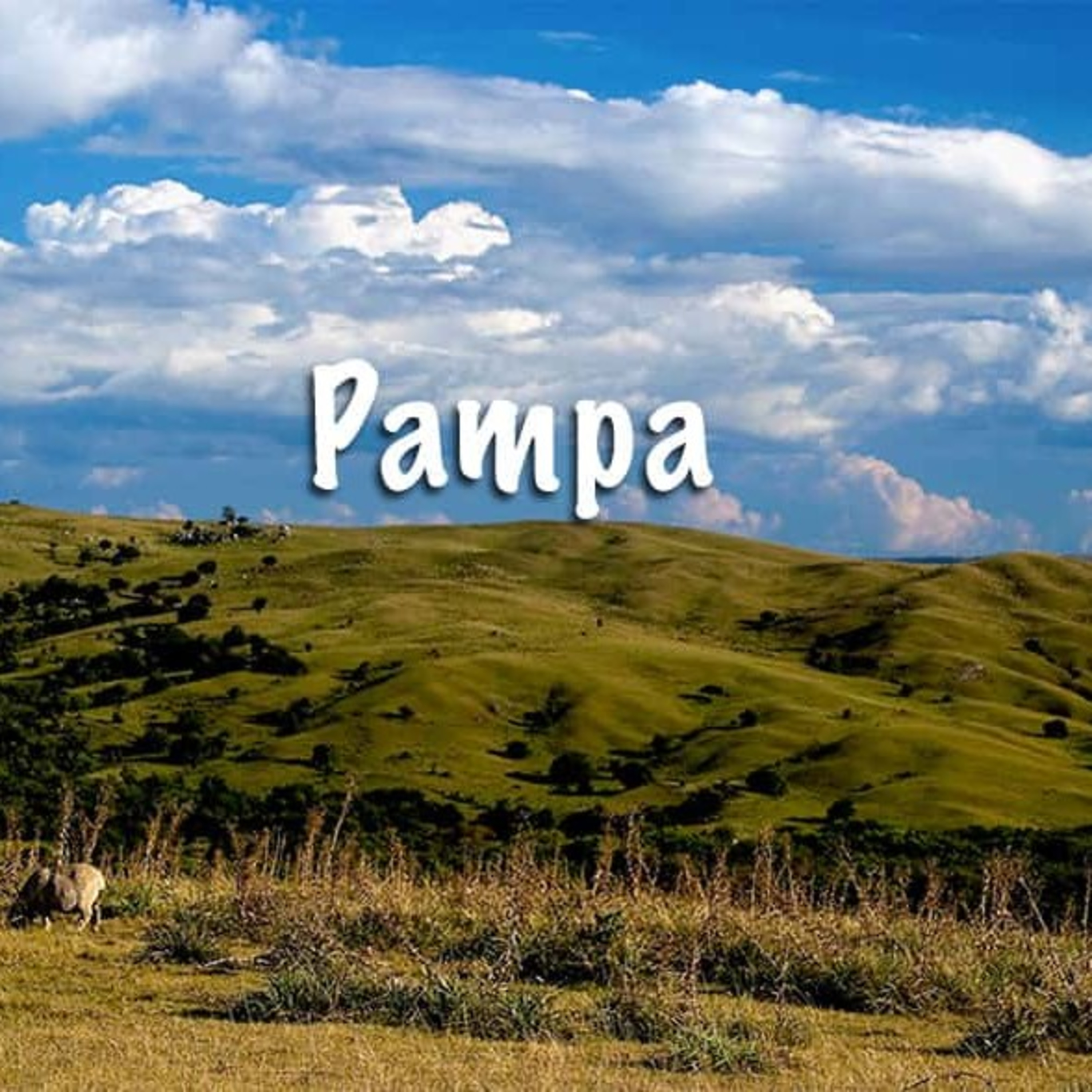 Pampa episode artwork