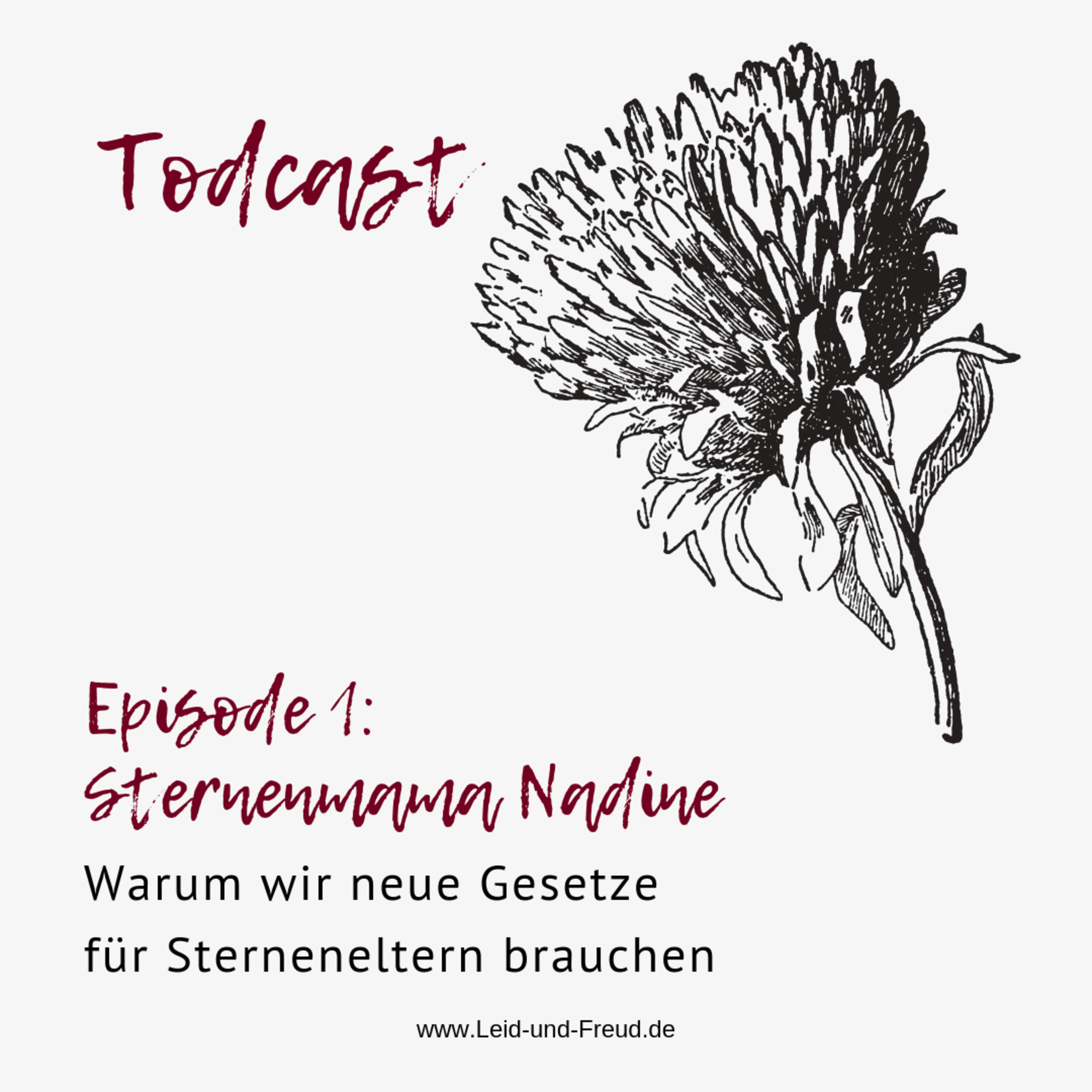 Todcast