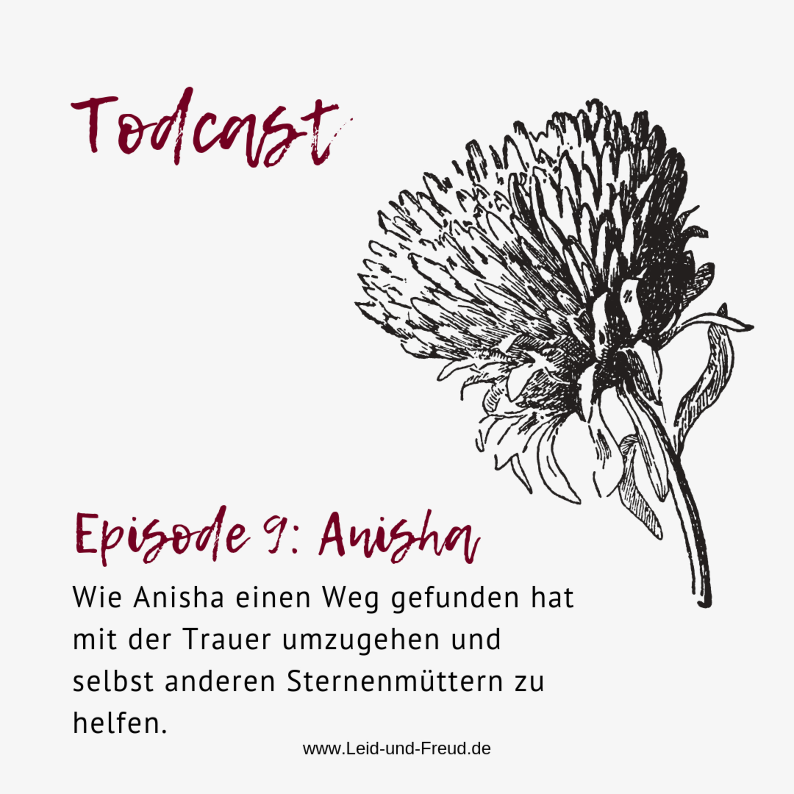 Todcast