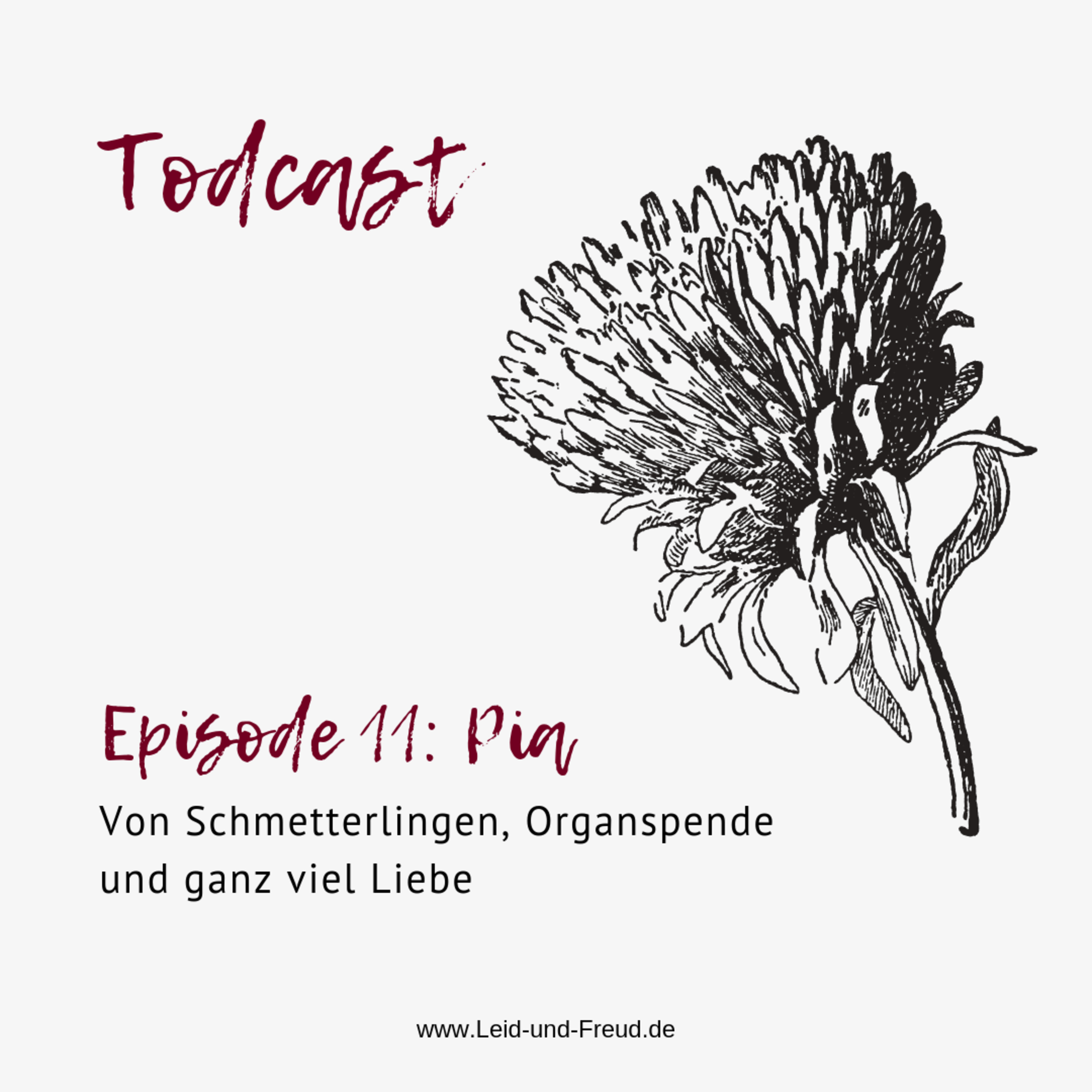 Todcast