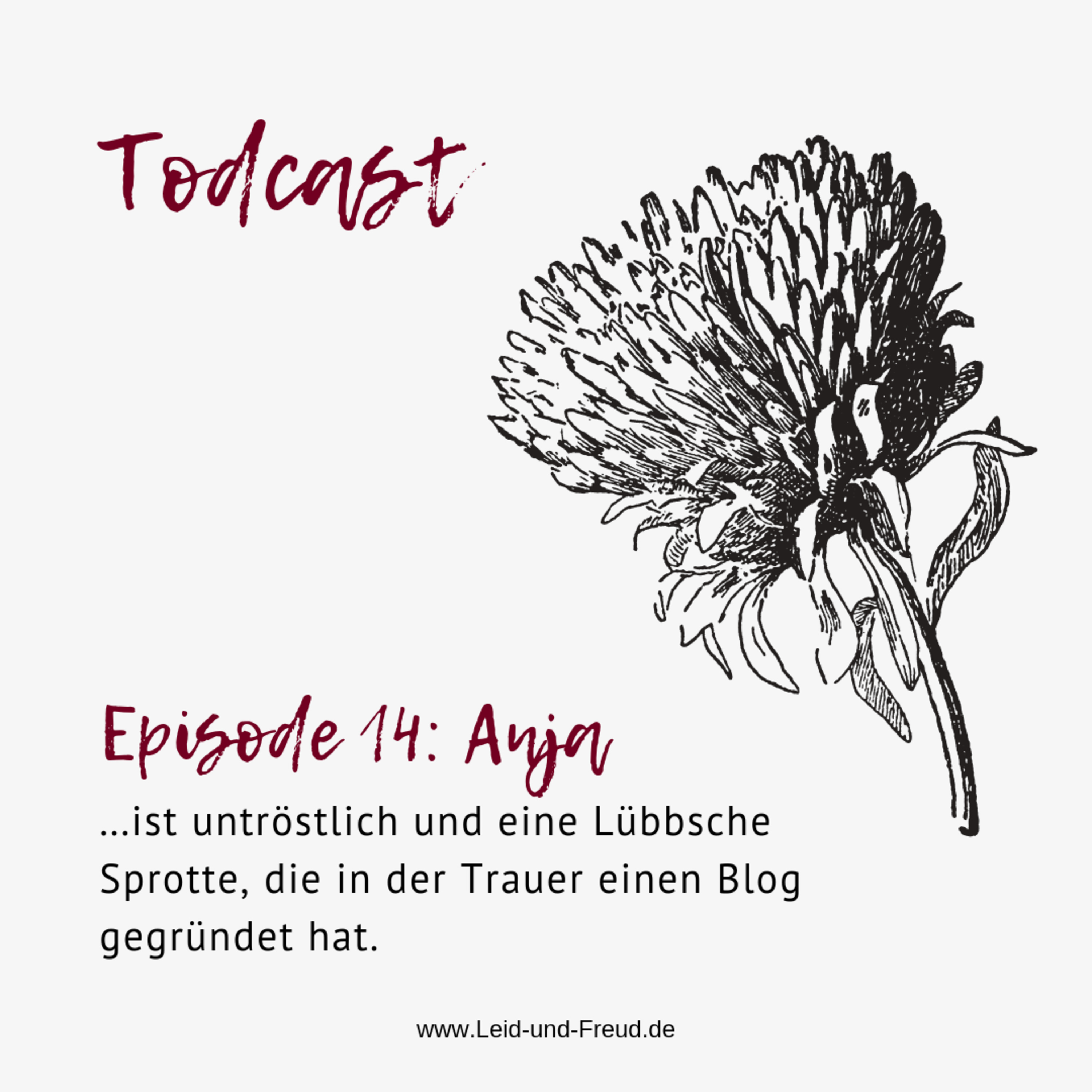 Todcast