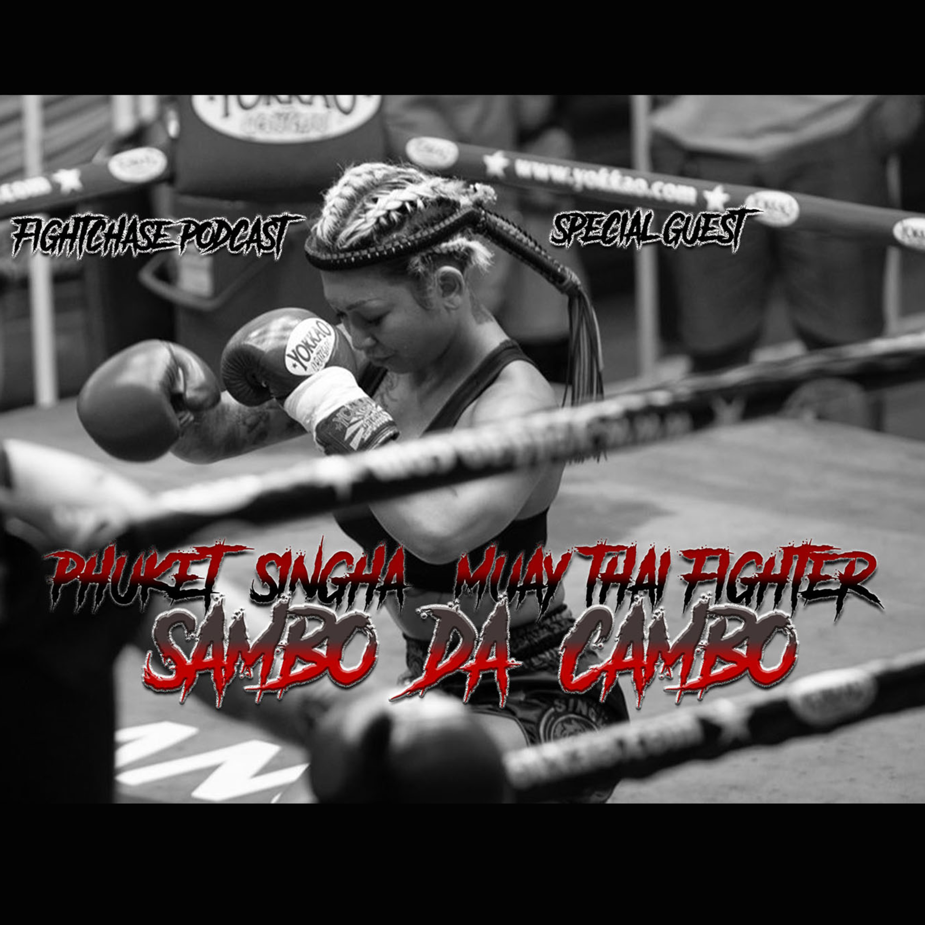 The Fight Chase Muay Thai & MMA Podcast